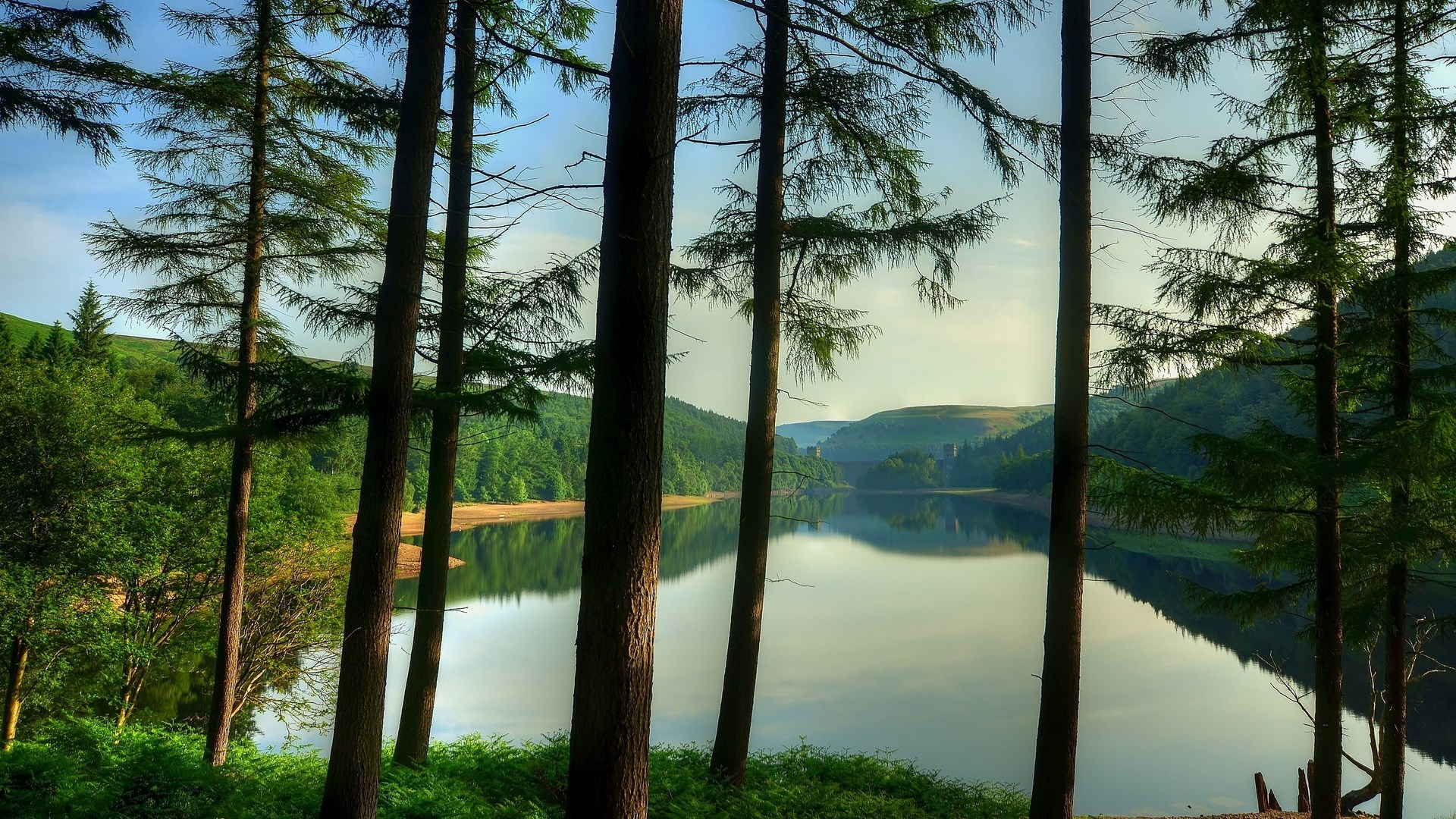 Trees by a lake with hills in the background HD Wallpaper
