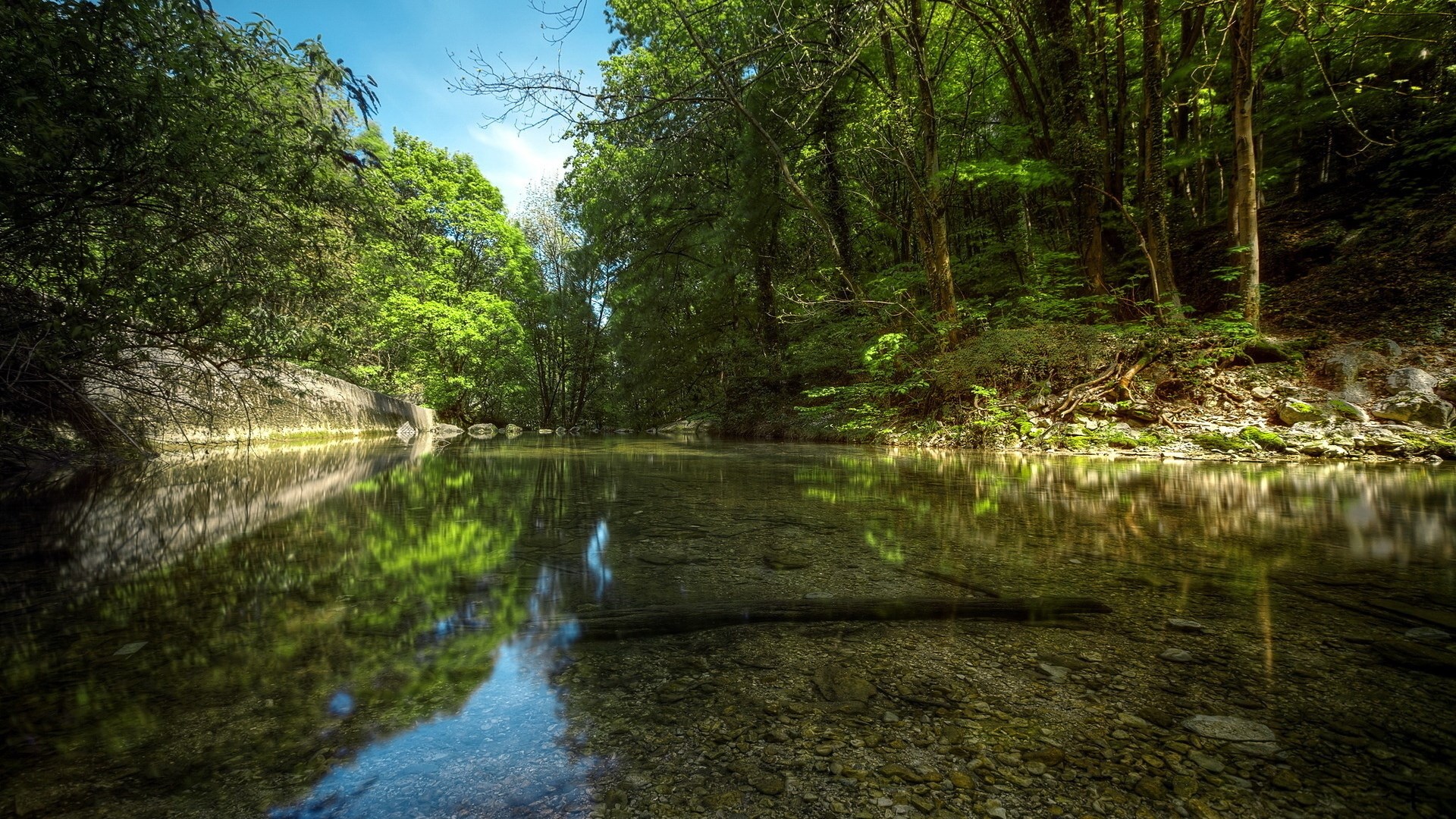 A clear river flows through a sunlit forest. HD Wallpaper