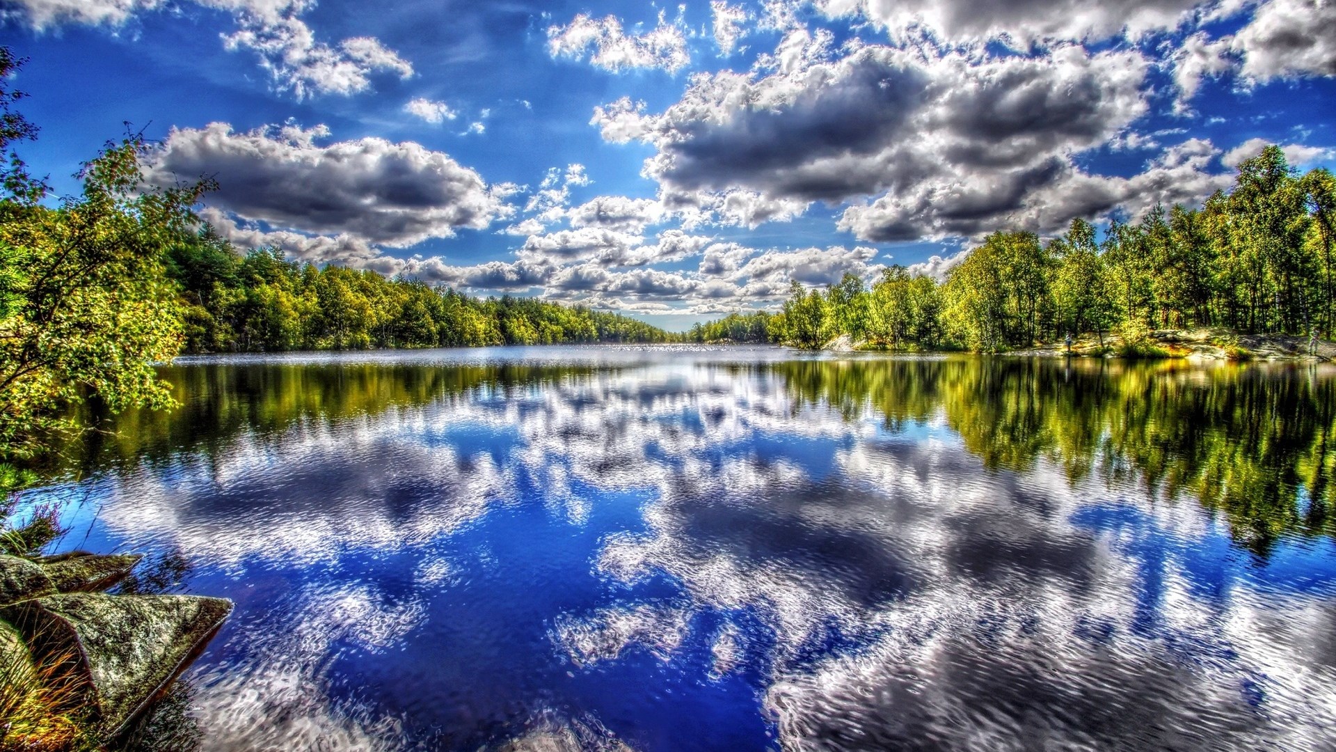 Lake reflecting trees and clouds under a blue sky HD Wallpaper