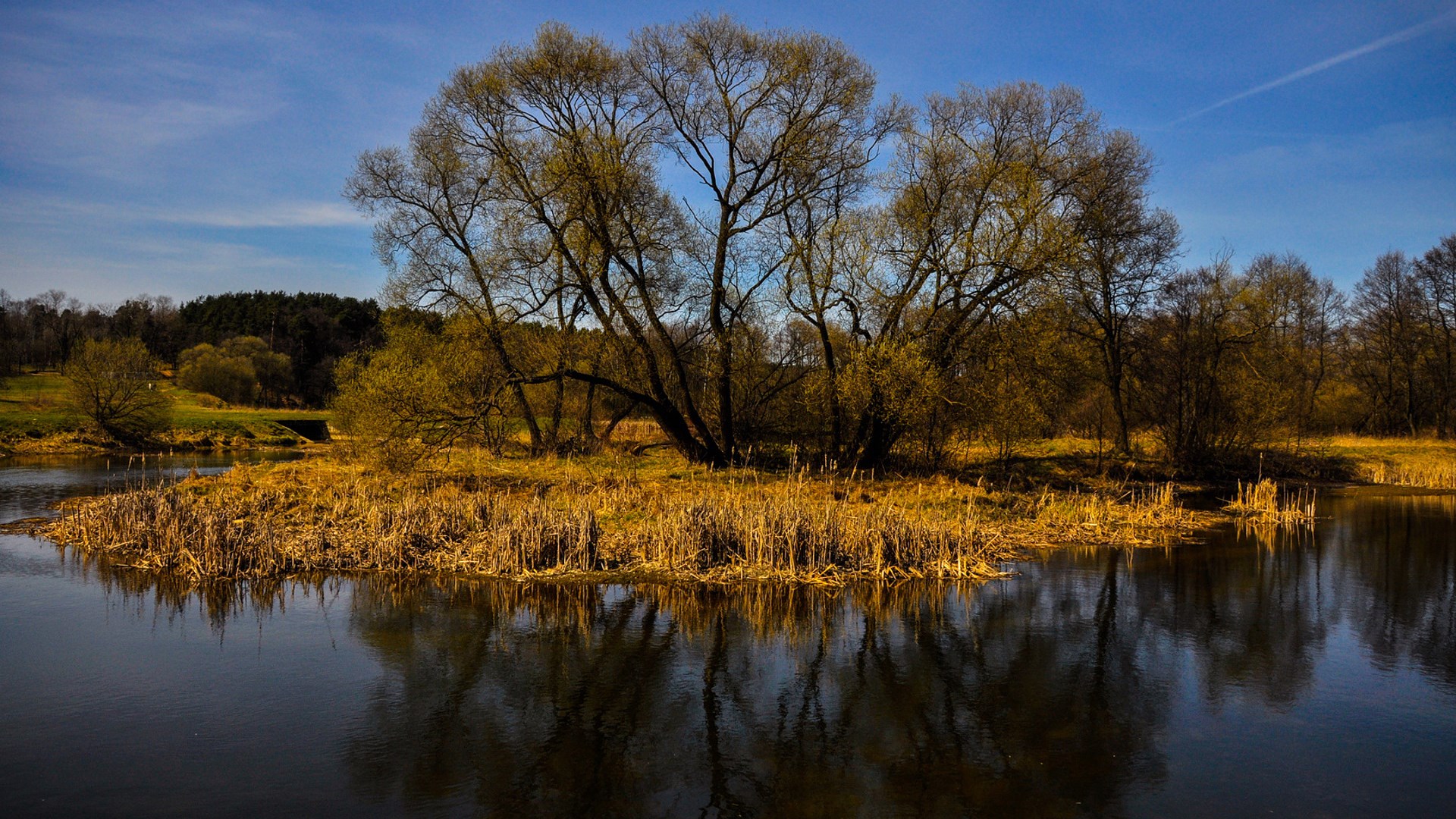 Island with trees and river reflection HD Wallpaper