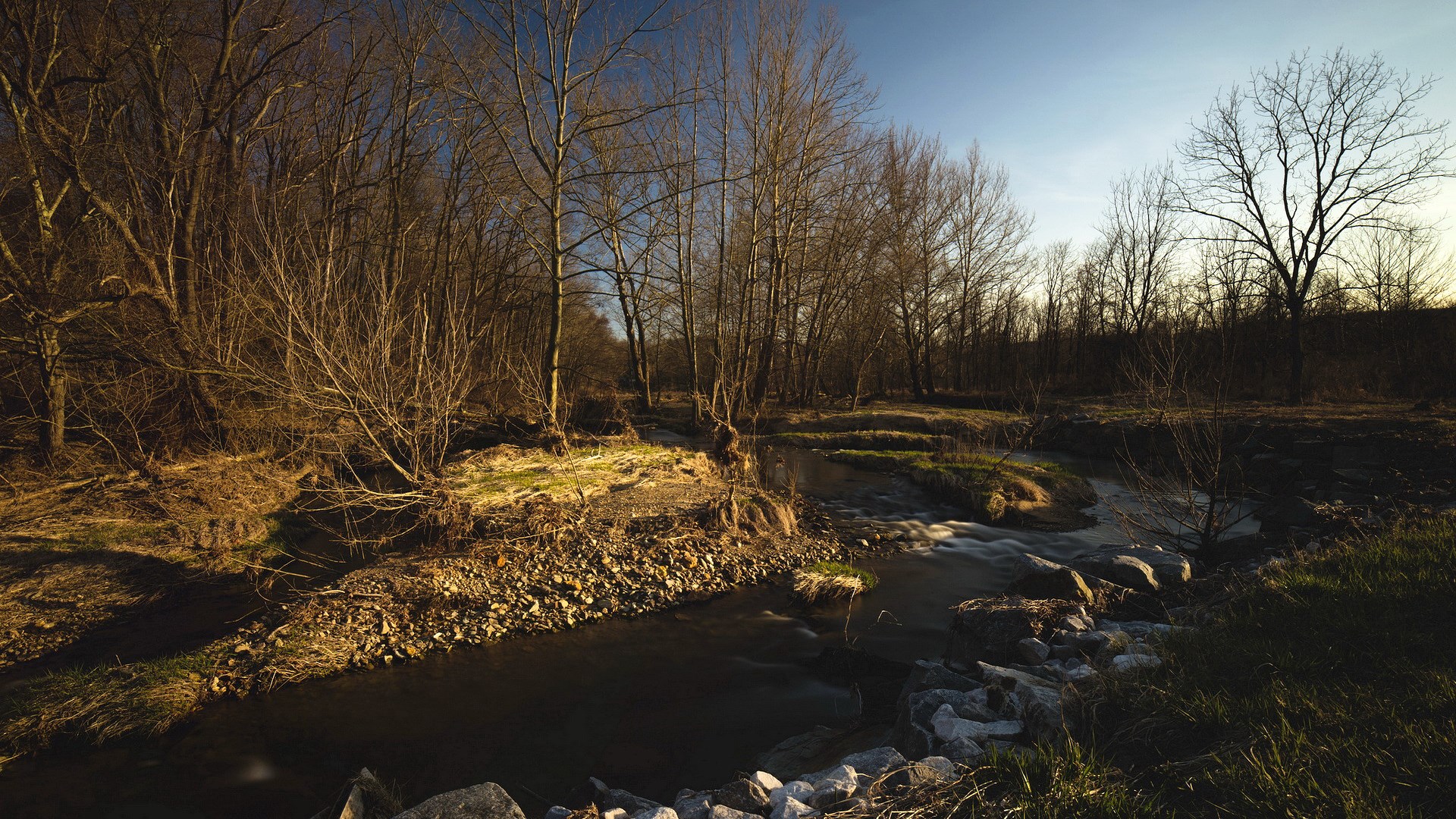 Bare trees line a winding stream in a wooded area HD Wallpaper