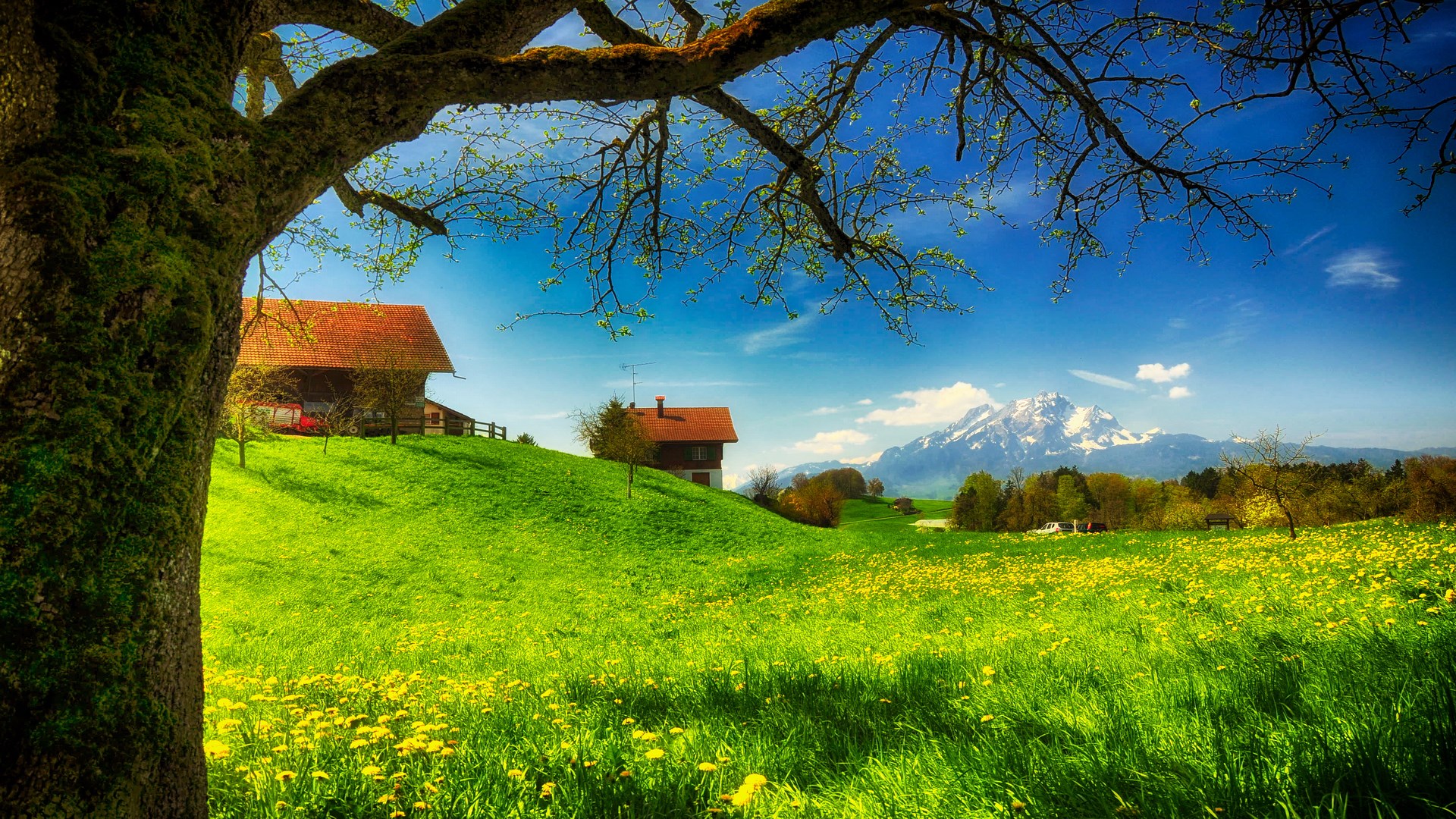 Green Meadow with Houses and Mountains HD Wallpaper