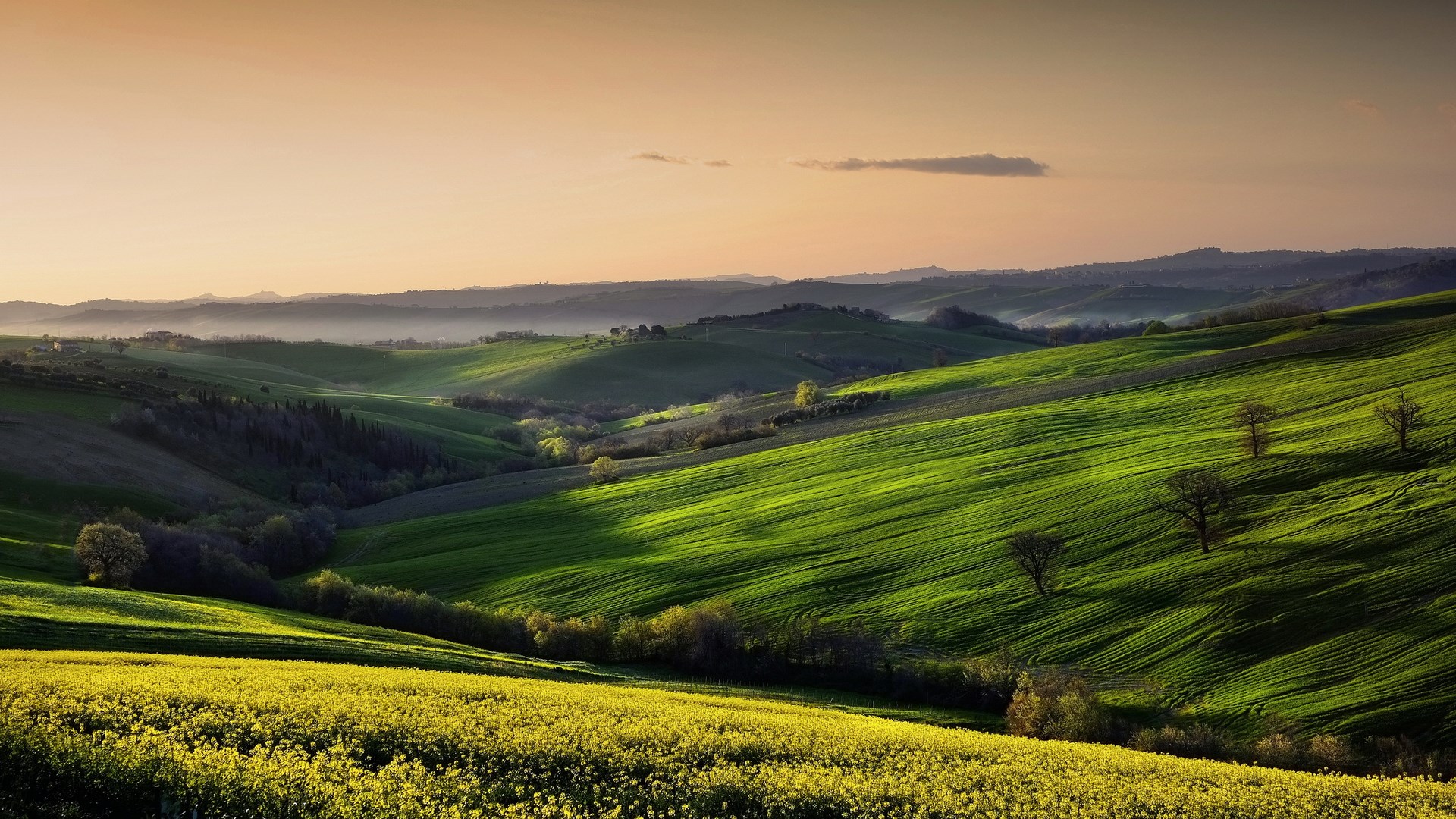 Rolling green hills with yellow flowers at sunset HD Wallpaper