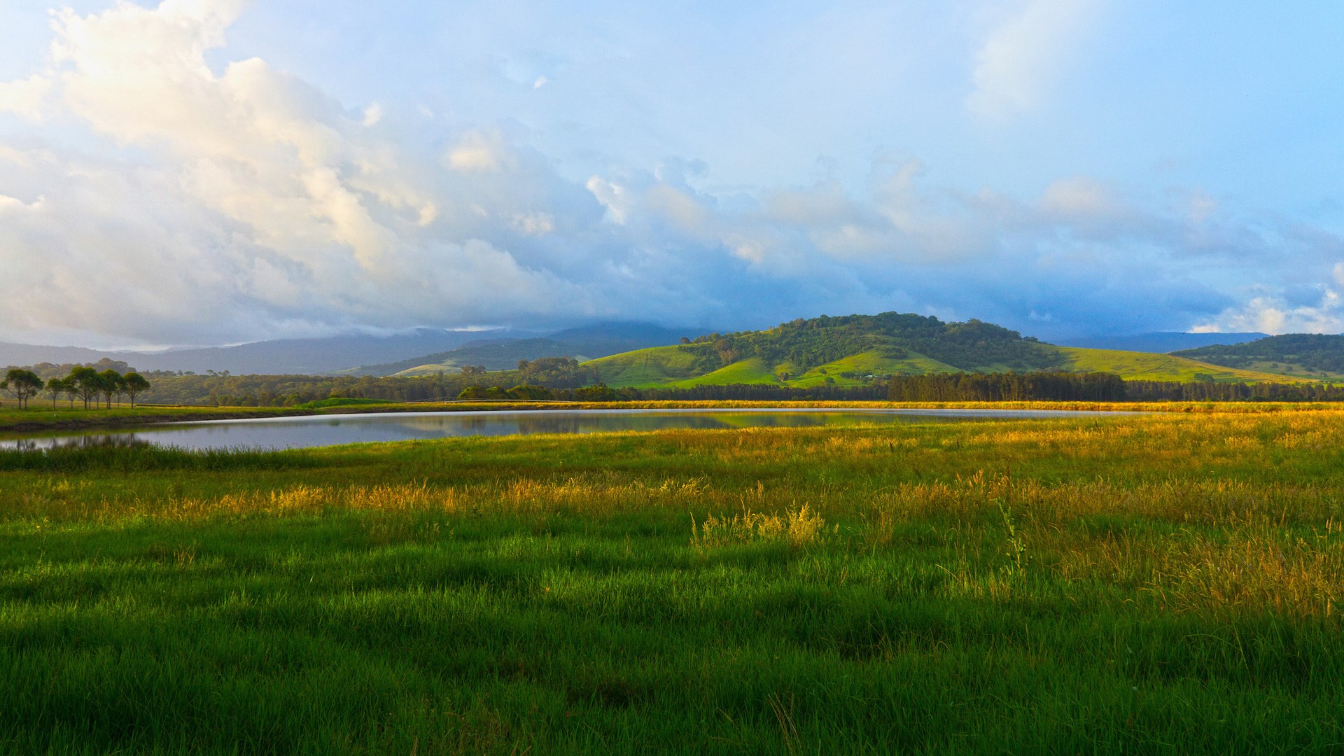 Grassy field with a lake and rolling hills HD Wallpaper