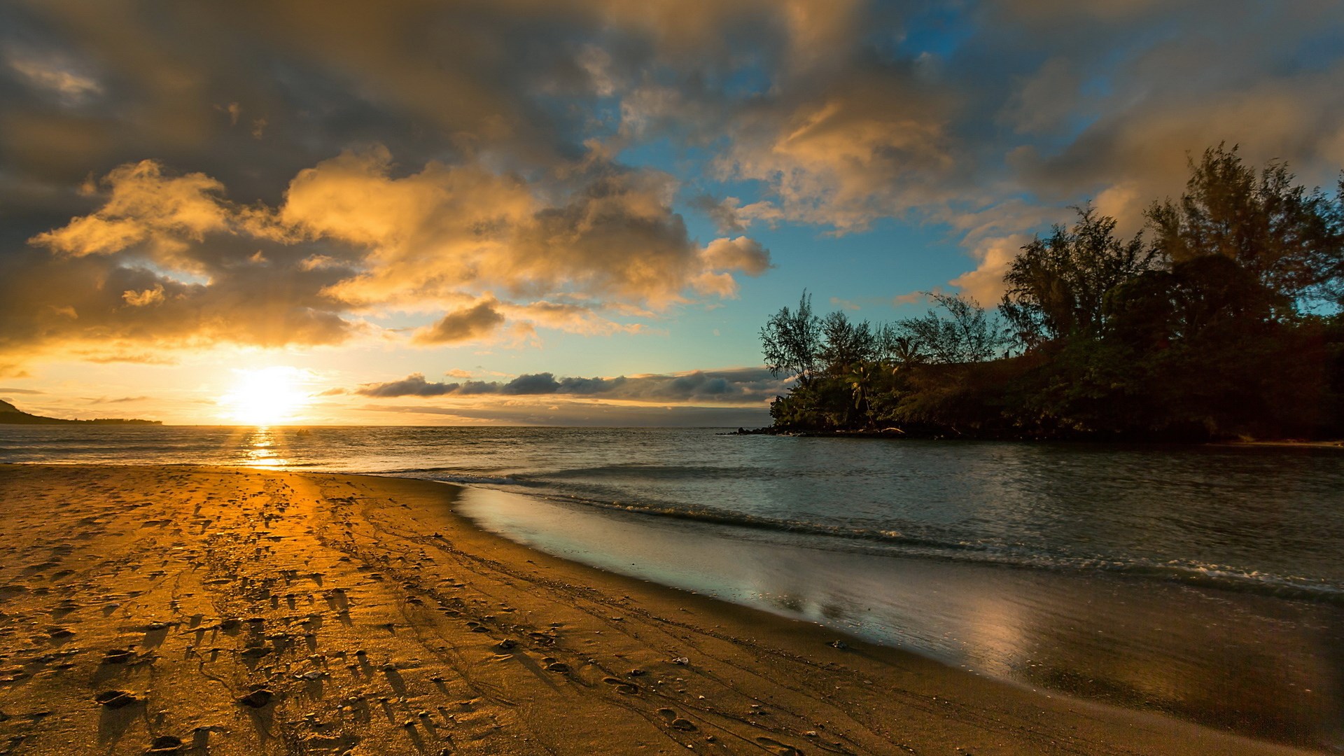 Sunset over a tropical beach with palm trees HD Wallpaper