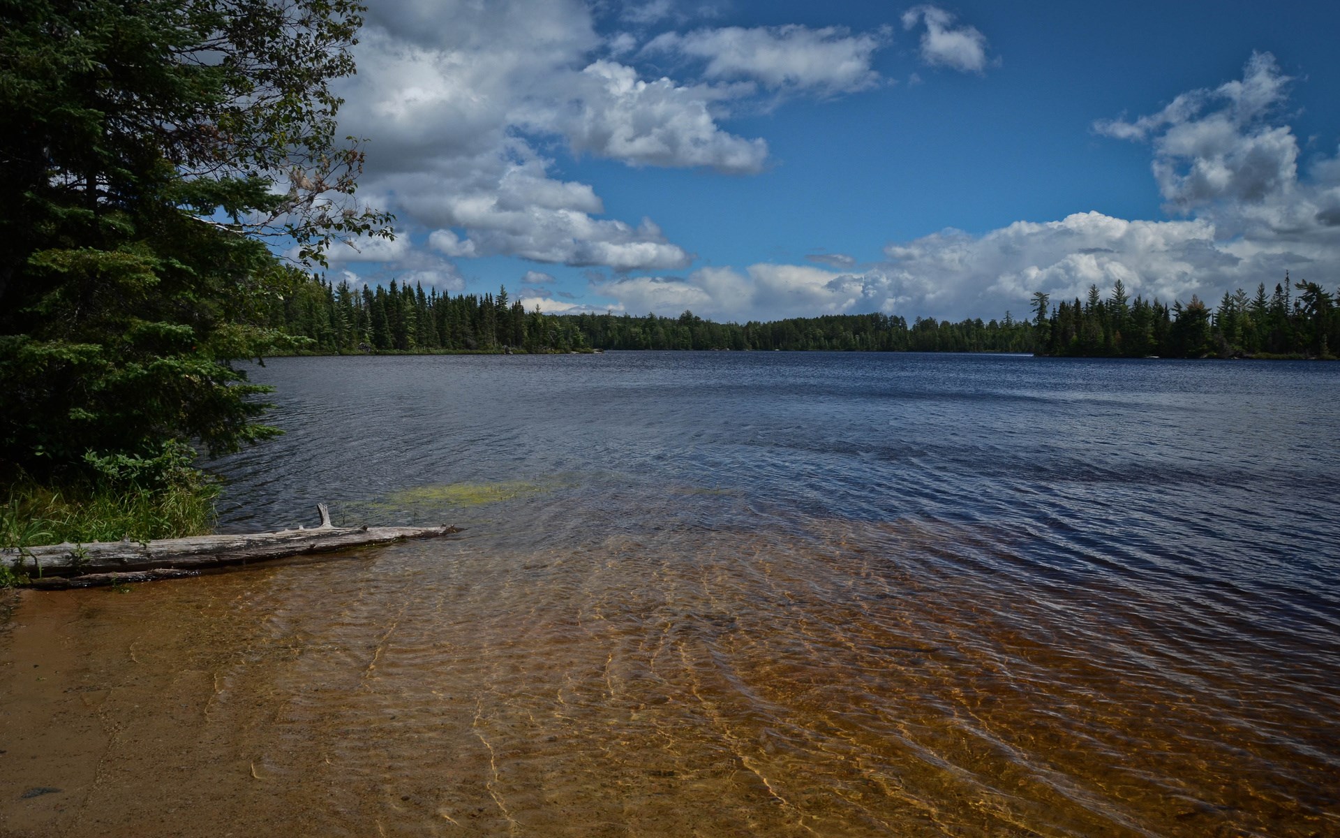 Lake with trees and clouds HD Wallpaper