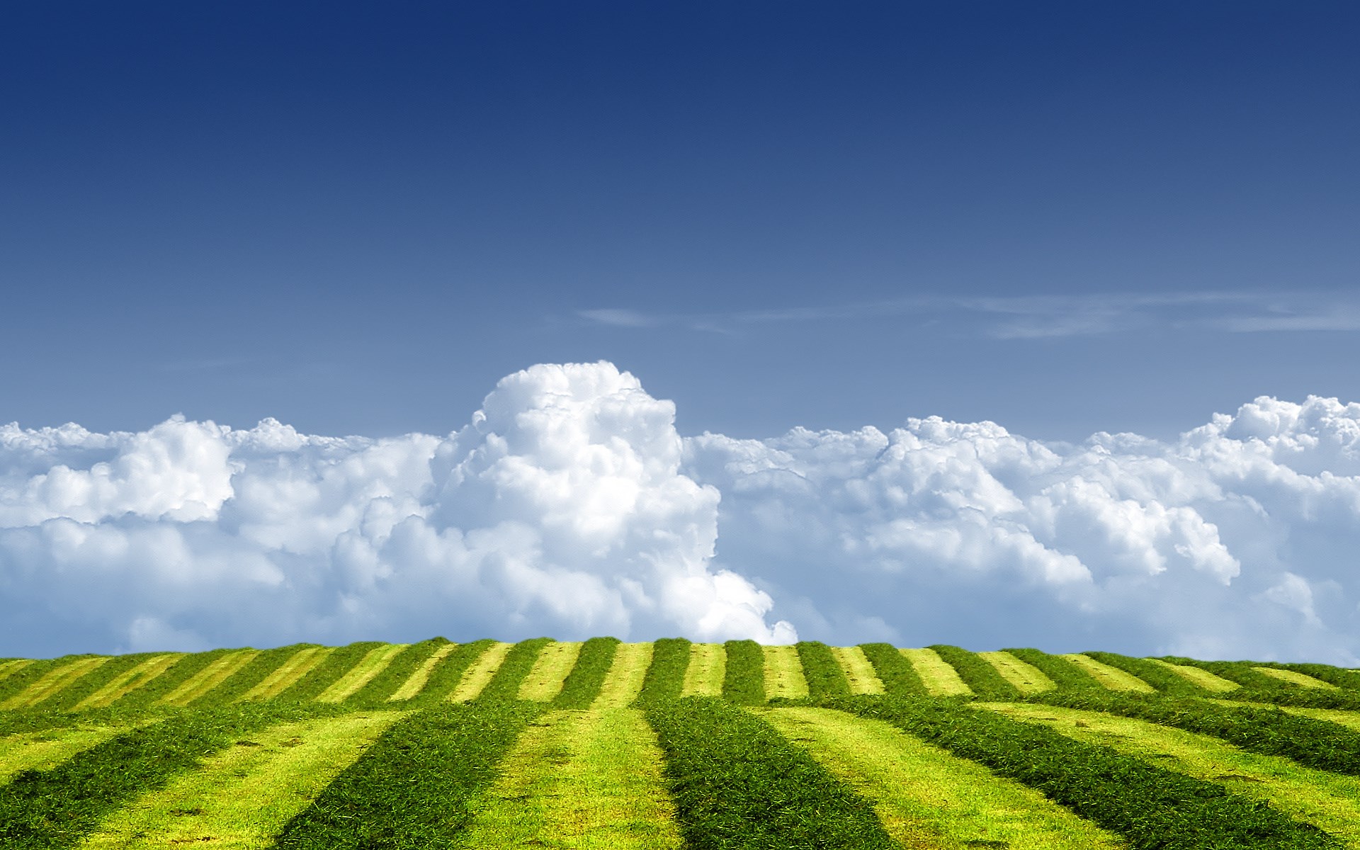 Striped green field under a blue sky with clouds HD Wallpaper