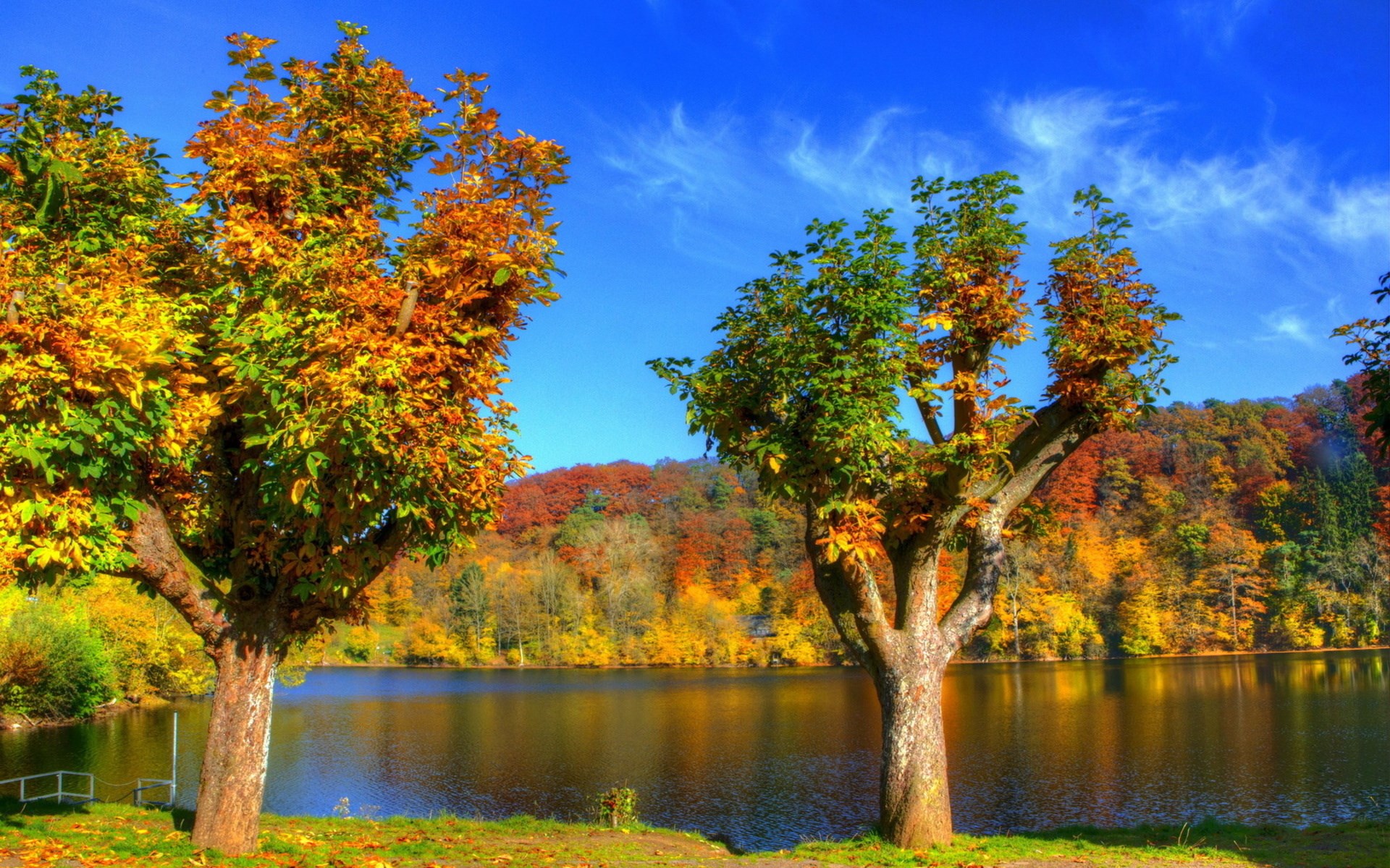 Autumn trees by a lake under a blue sky HD Wallpaper