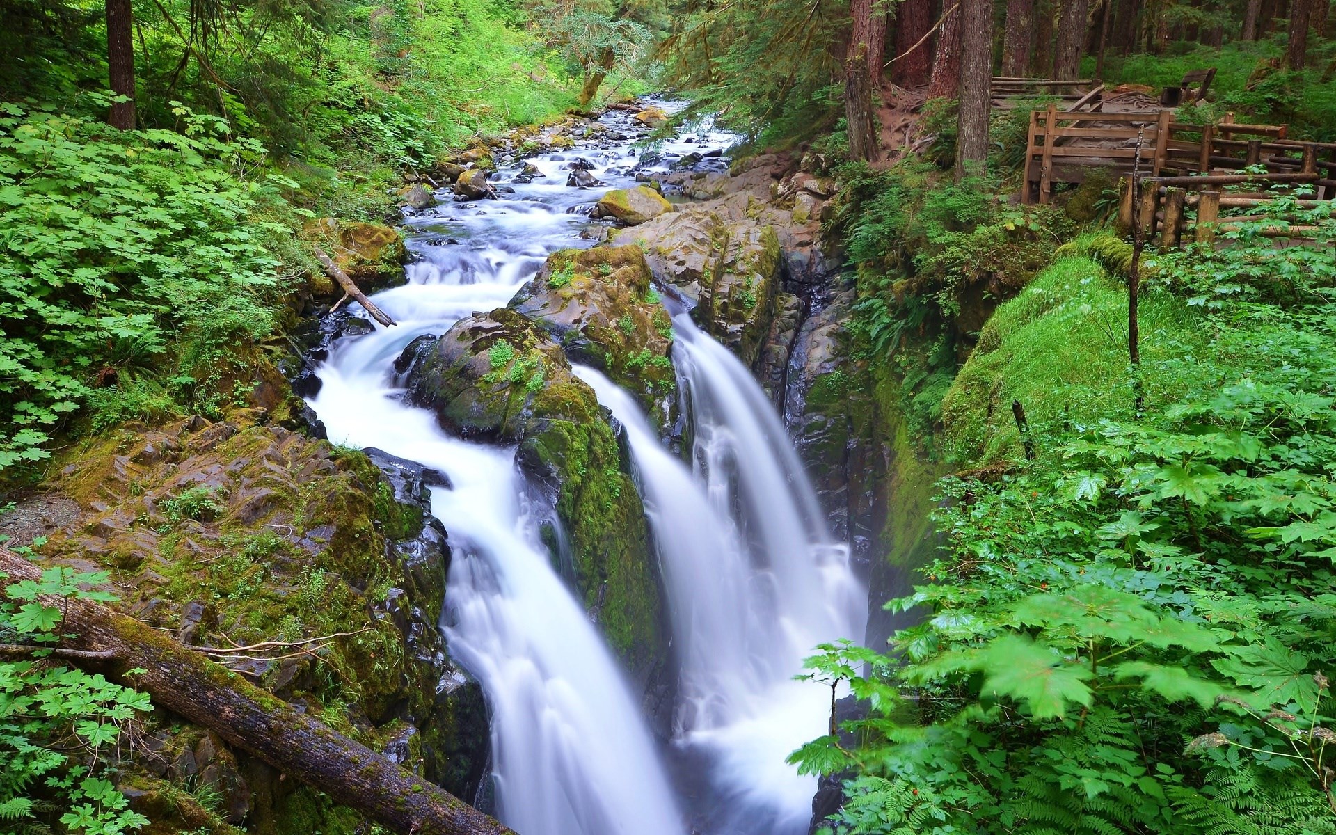 Sol Duc Falls in Olympic National Park HD Wallpaper