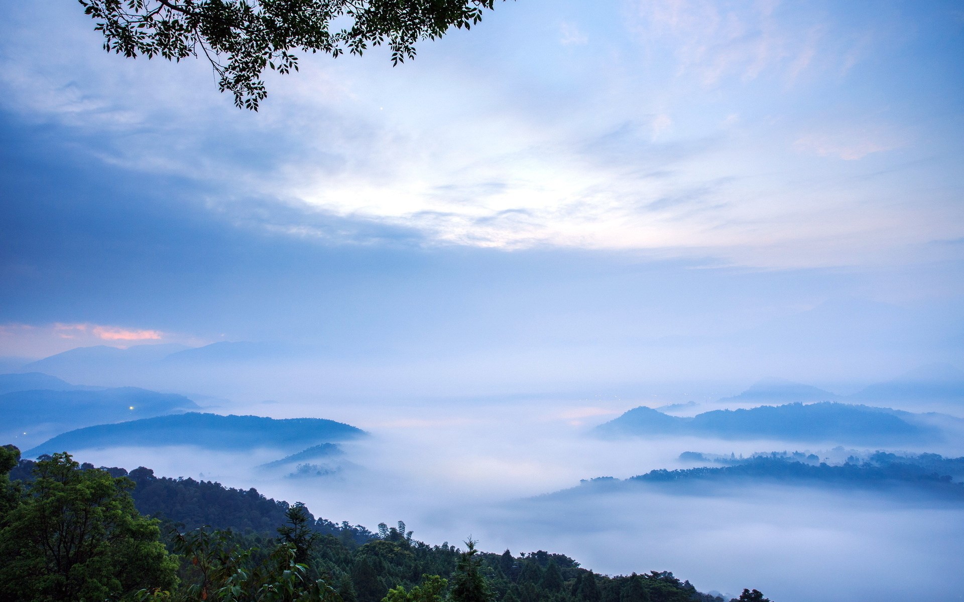 Misty mountains at sunrise with tree branches HD Wallpaper
