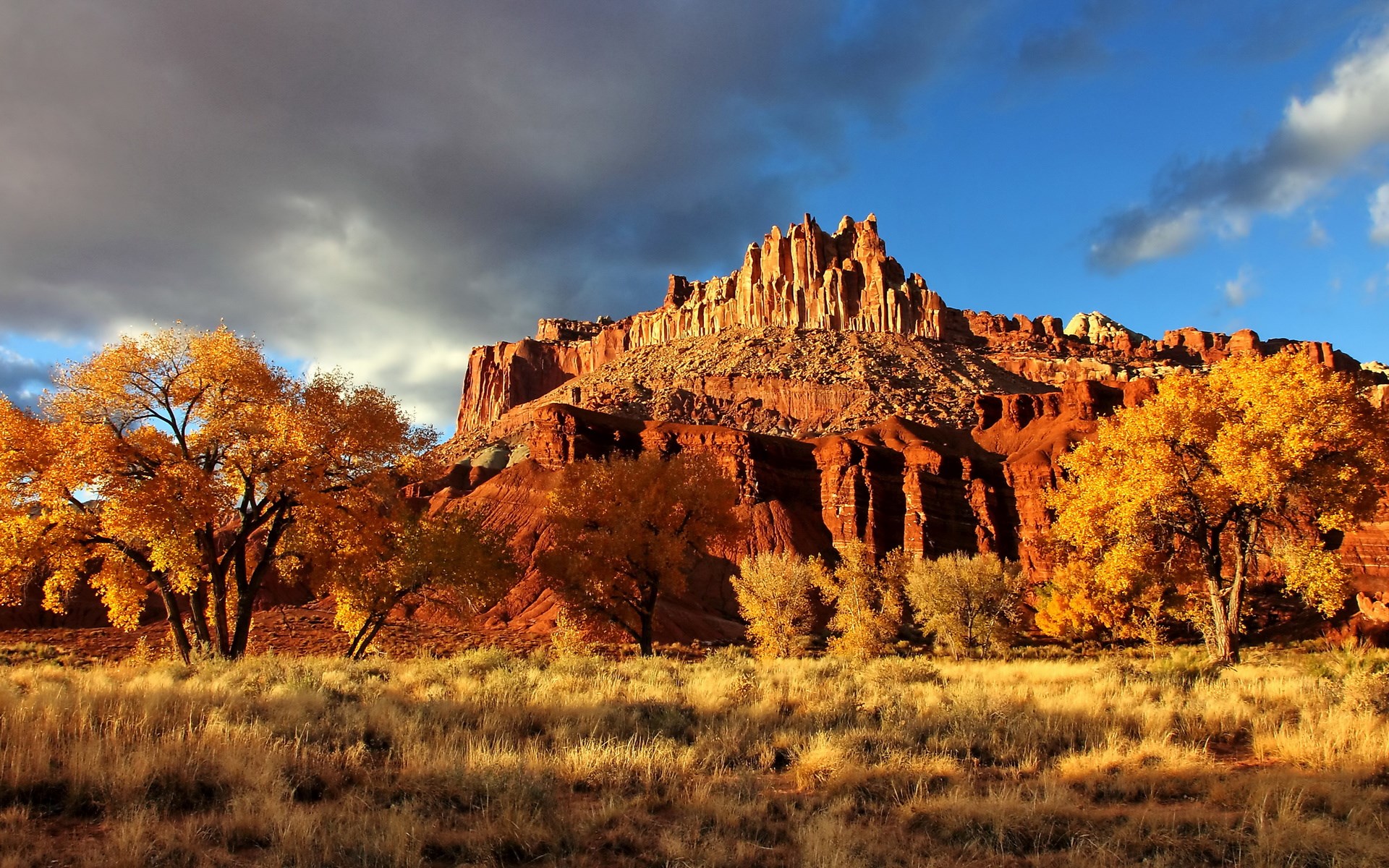 Autumn trees and red rock formations under a cloudy sky HD Wallpaper