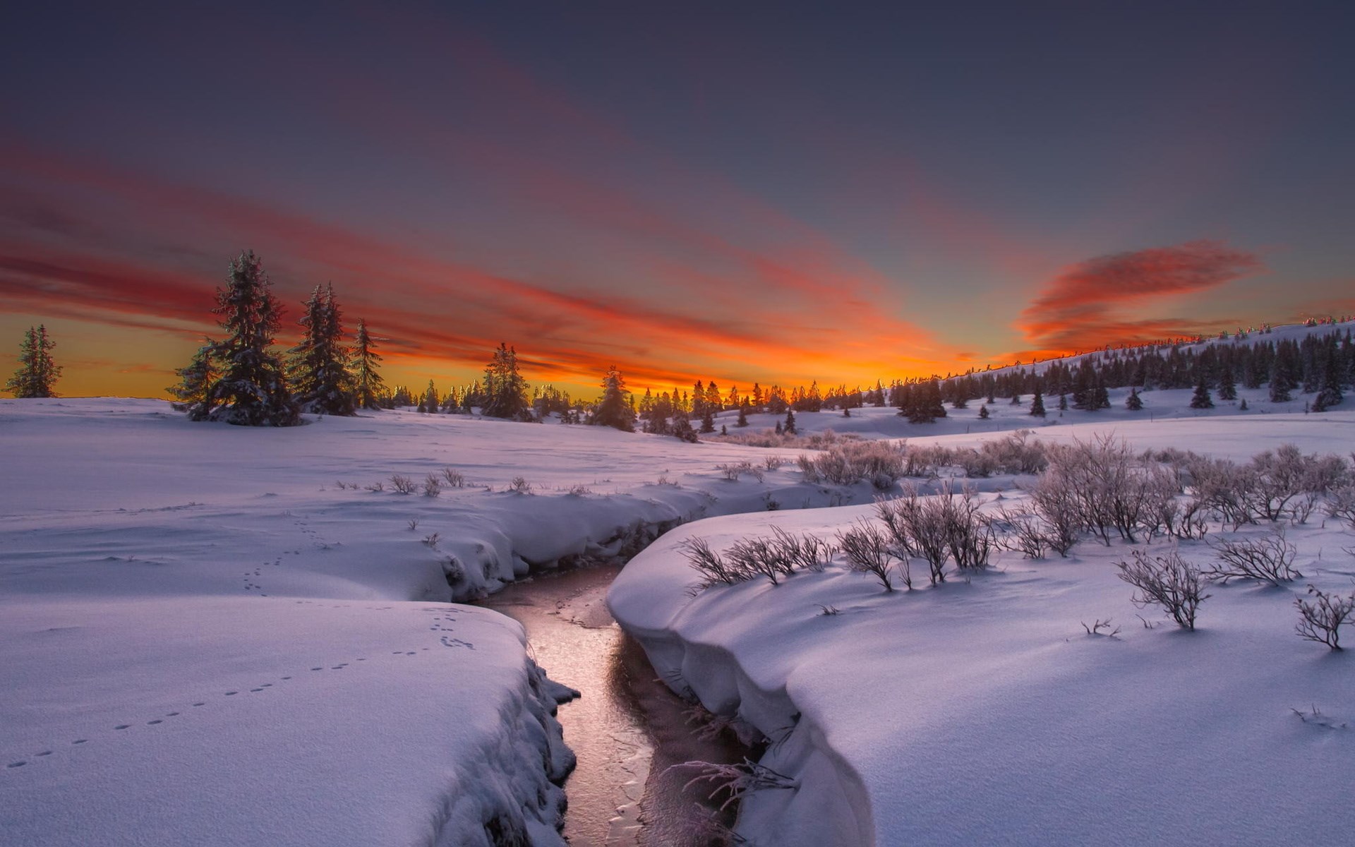 Snowy landscape with a stream at sunset HD Wallpaper