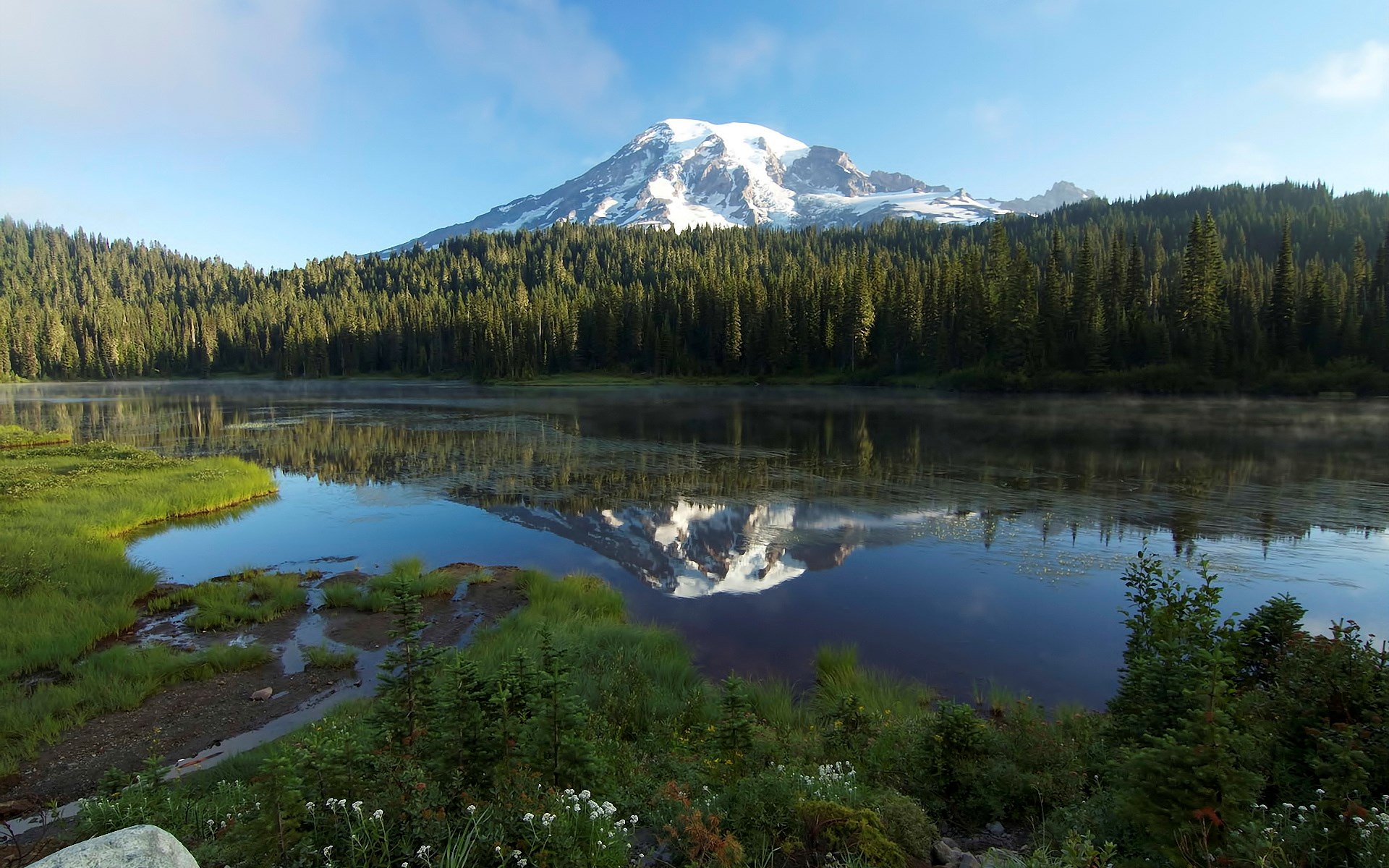 Mount Rainier reflected in a lake with evergreen forest HD Wallpaper