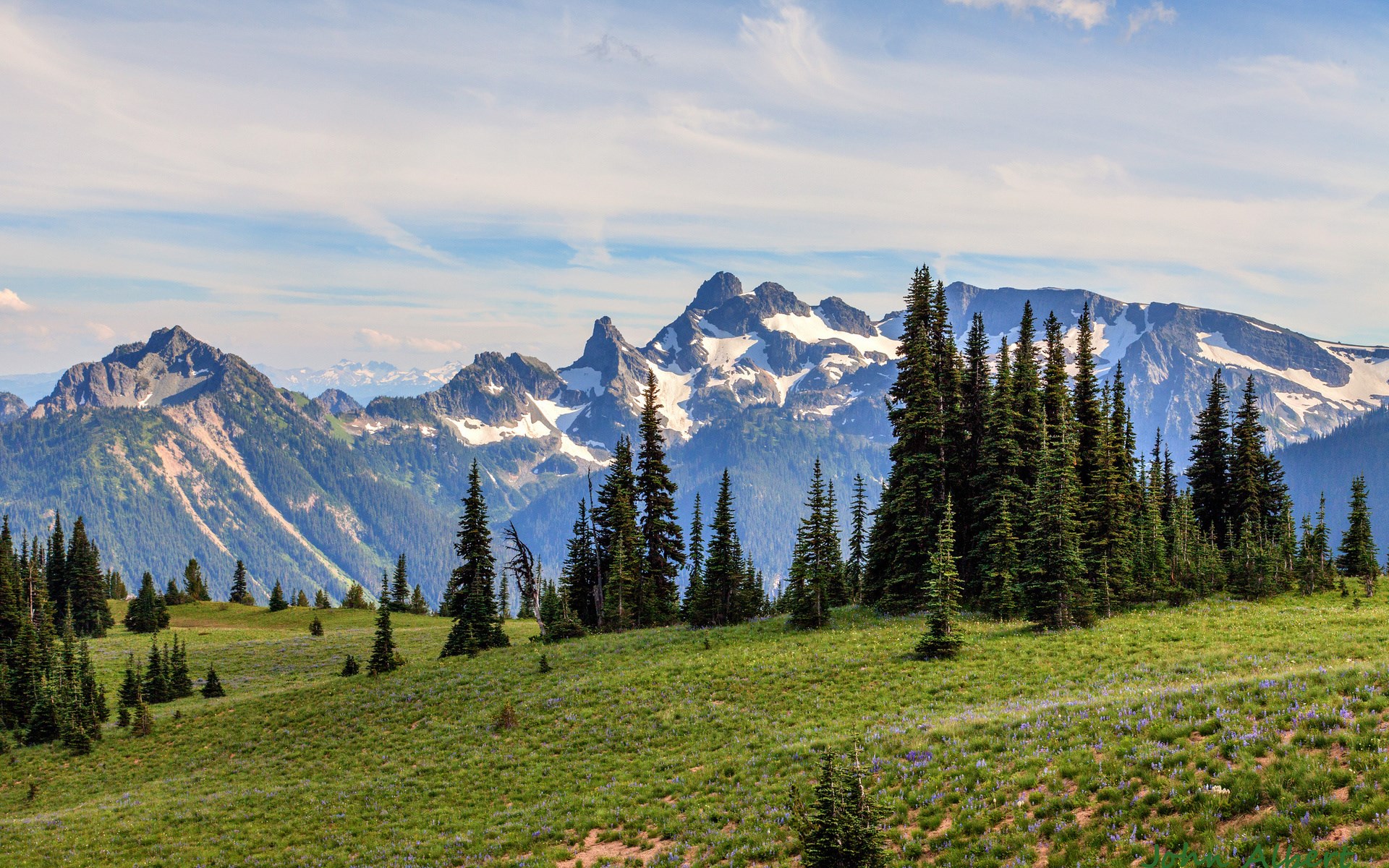 Mountain range with snow-capped peaks and evergreen trees HD Wallpaper