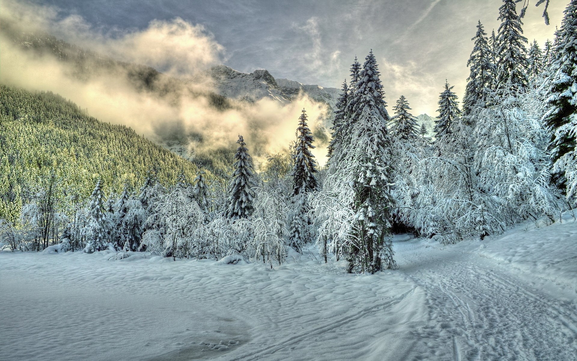 Snowy forest path with mountains and clouds HD Wallpaper
