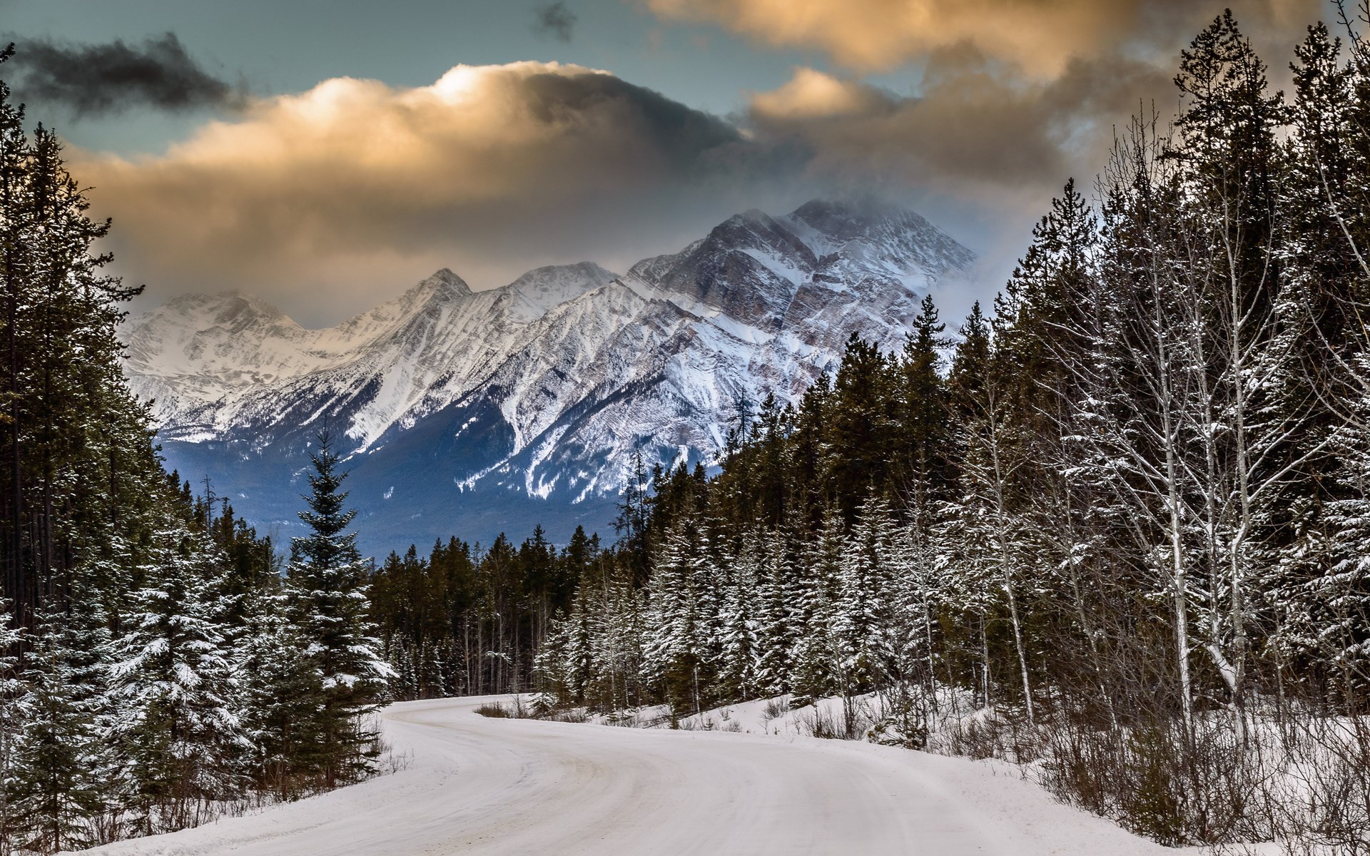 Snowy mountain road through a pine forest HD Wallpaper