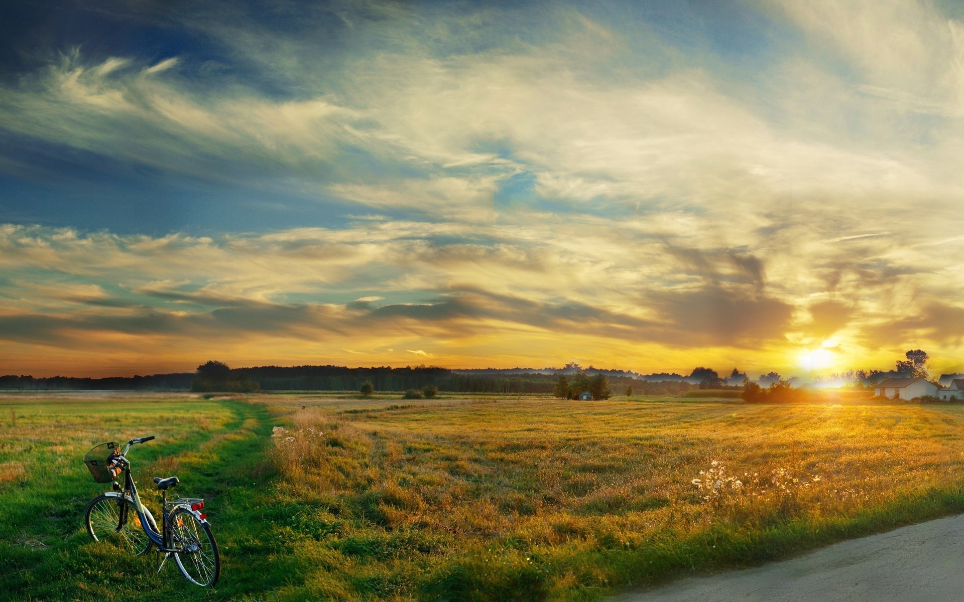 Bicycle in a field at sunset HD Wallpaper