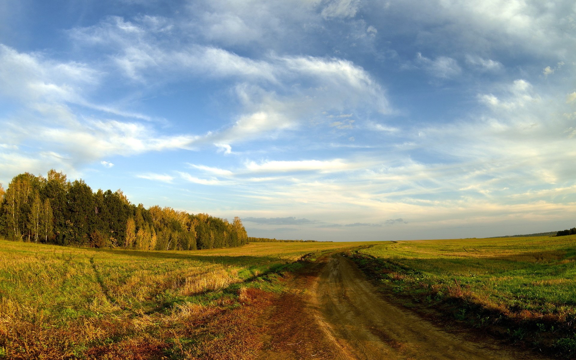 Dirt road through a grassy field with trees HD Wallpaper