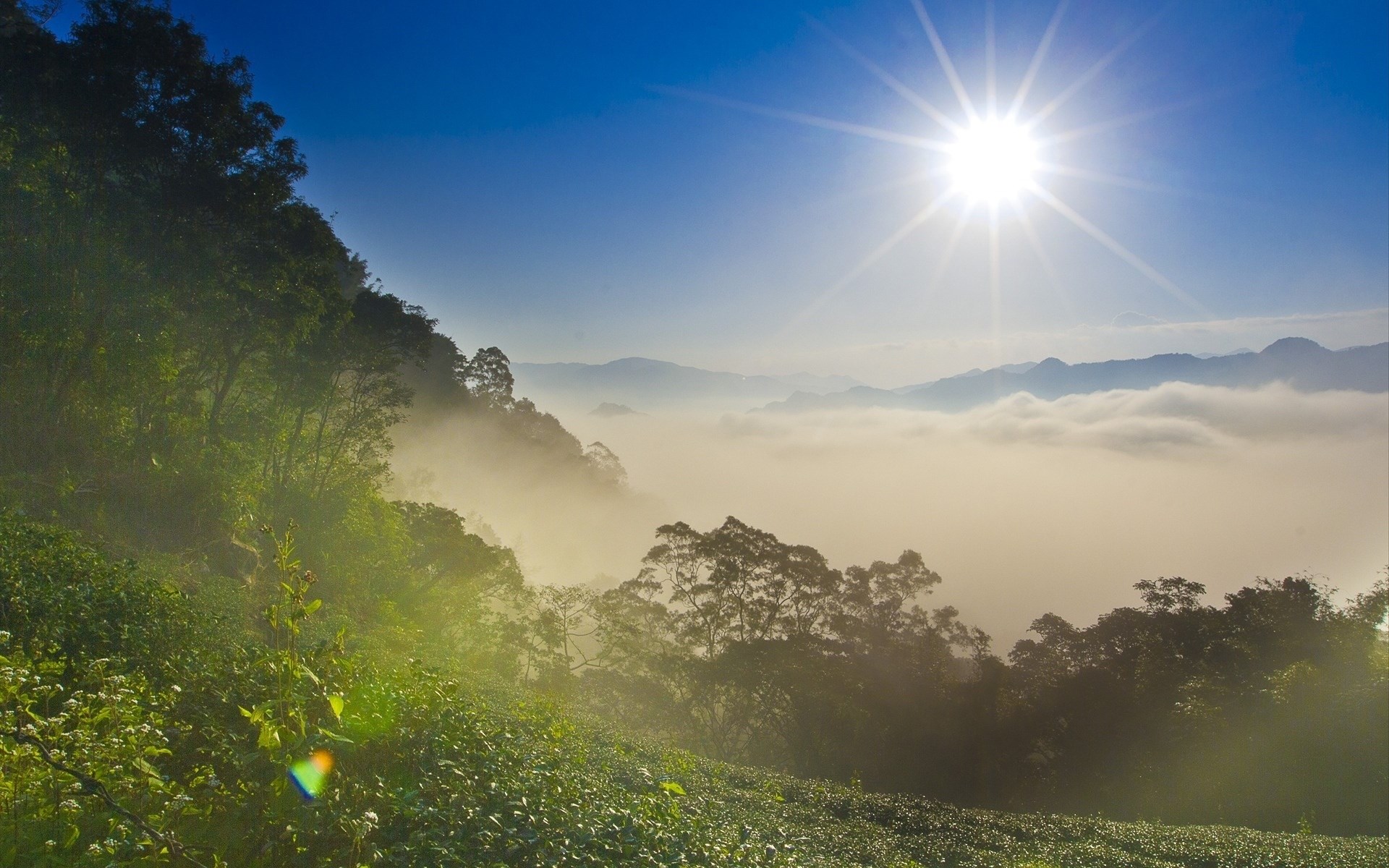 Sun shines over misty mountains and green hills HD Wallpaper