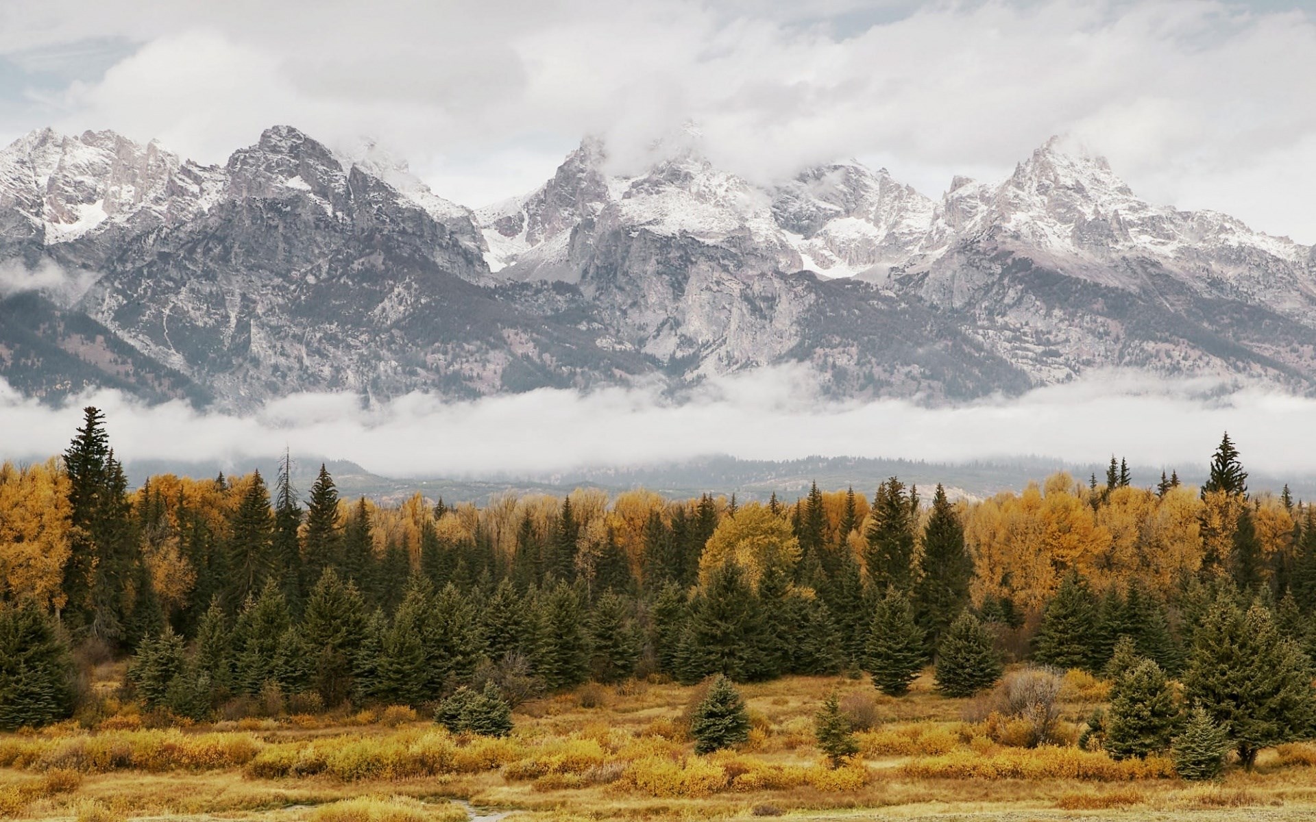 Snow-capped mountains over autumn forest and meadow HD Wallpaper
