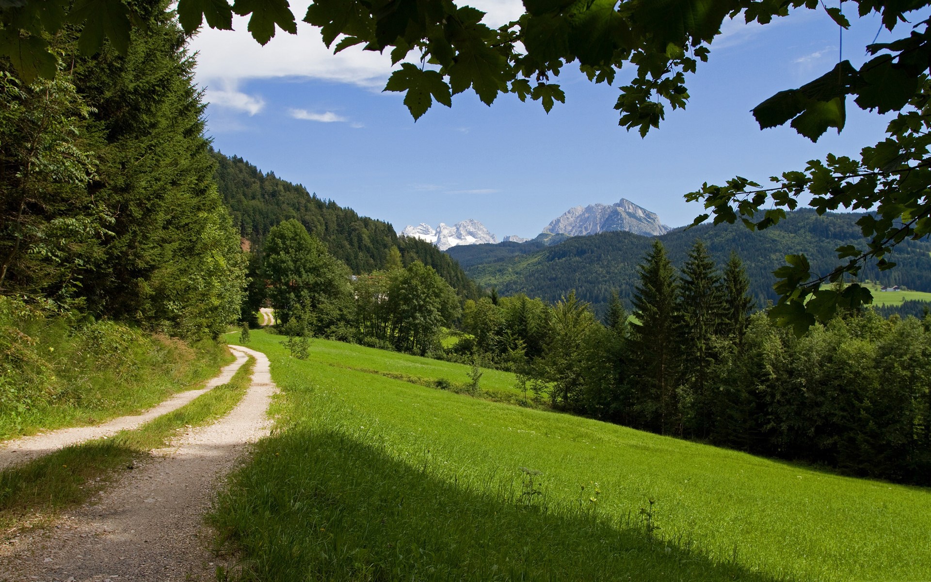 Dirt path through a green meadow with mountains in the background HD Wallpaper