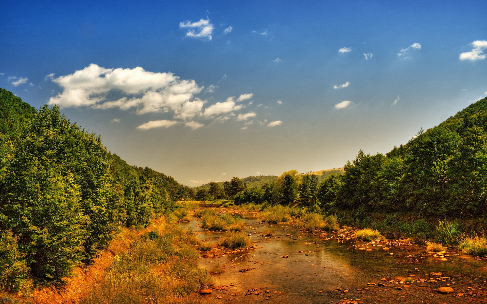 River flowing through a forest valley under a blue sky HD Wallpaper