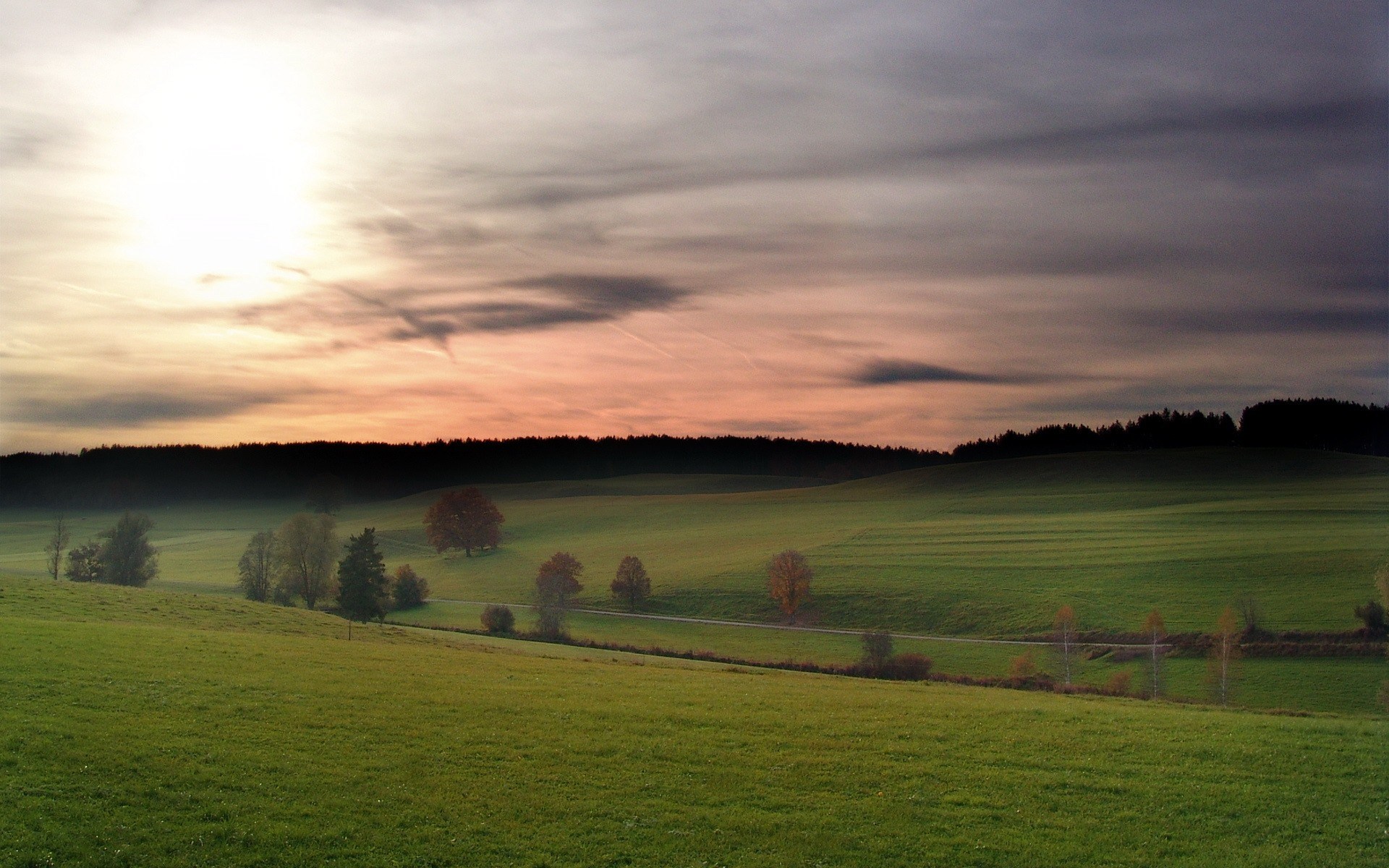 Rolling green hills at sunset with scattered trees HD Wallpaper