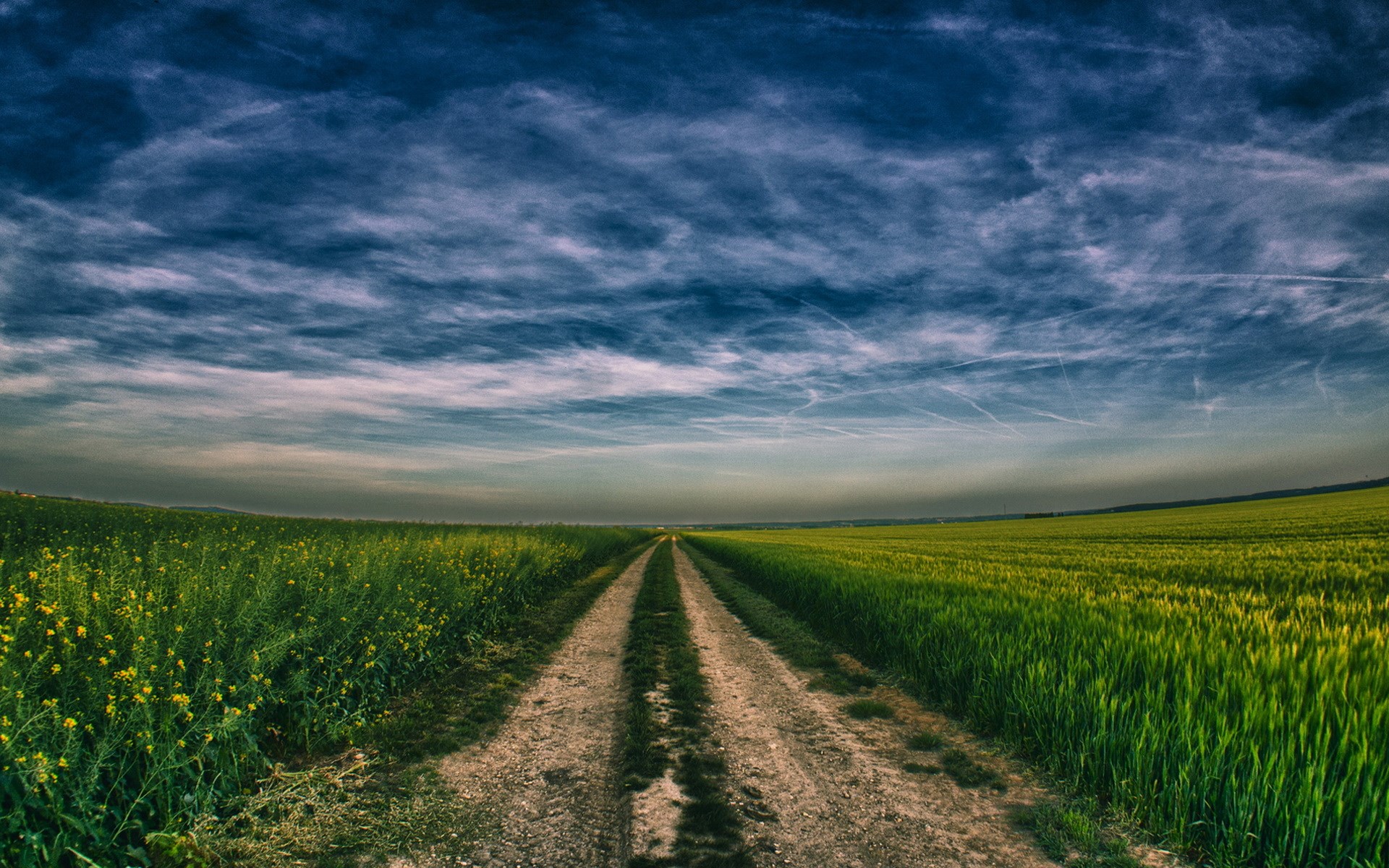 Dirt road through green fields under a cloudy sky HD Wallpaper
