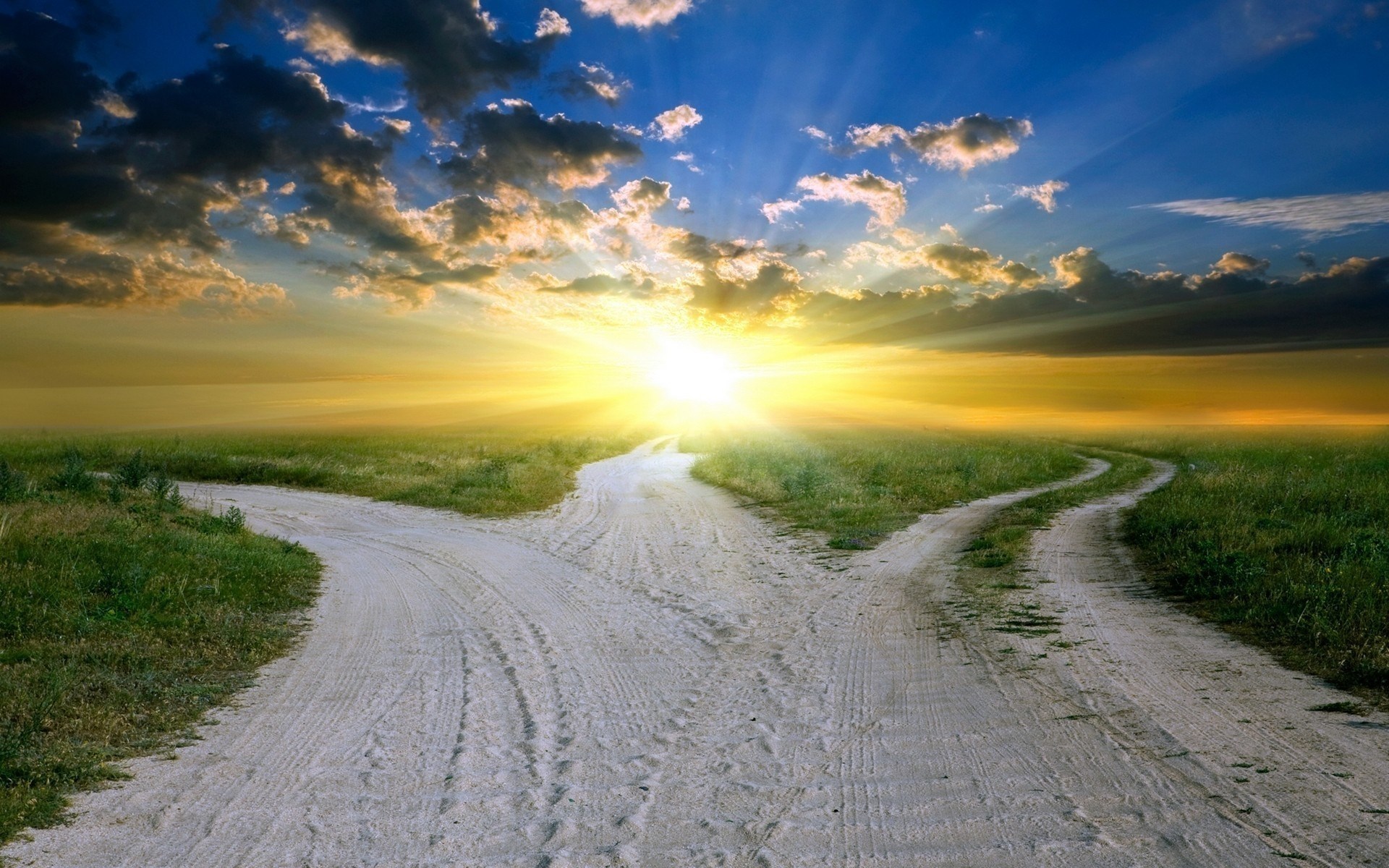 Dirt road forks in a grassy field at sunset HD Wallpaper