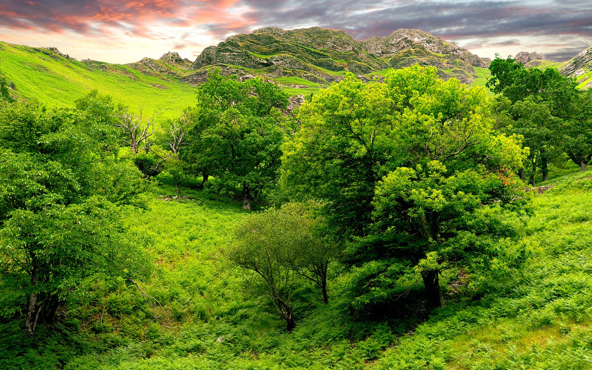 Green valley with trees and mountains under a cloudy sky HD Wallpaper