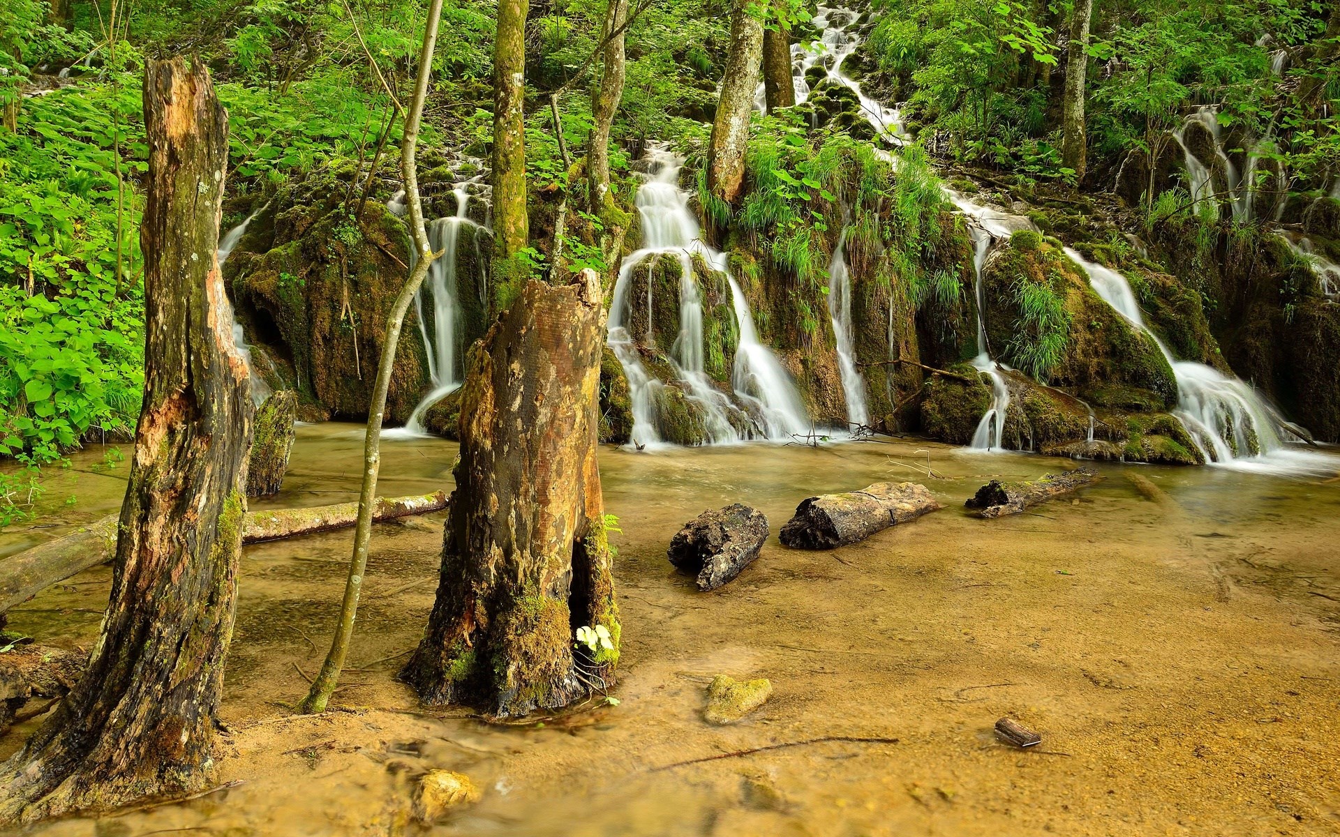 Waterfalls cascading through a lush green forest with fallen logs HD Wallpaper