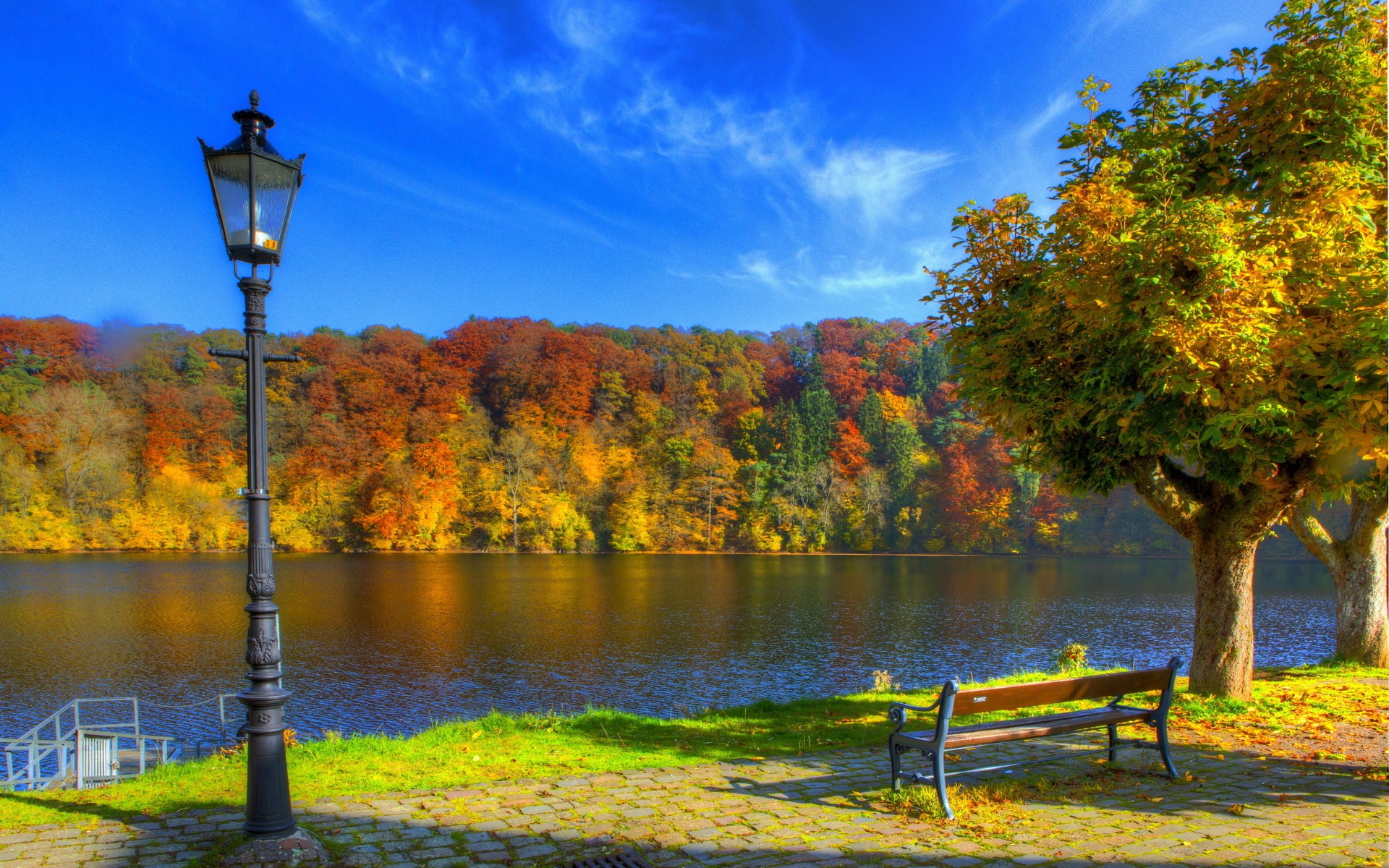Autumn lake with trees and a park bench HD Wallpaper