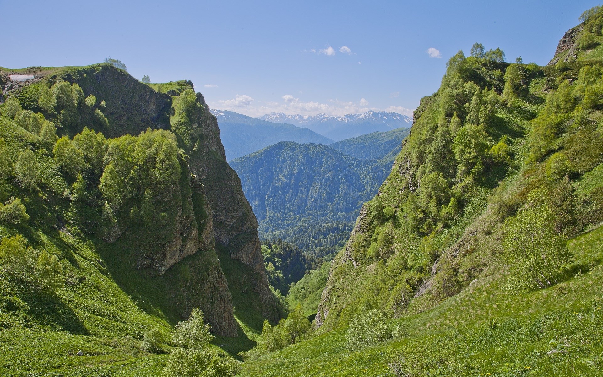 Green mountain valley with distant snow-capped peaks HD Wallpaper