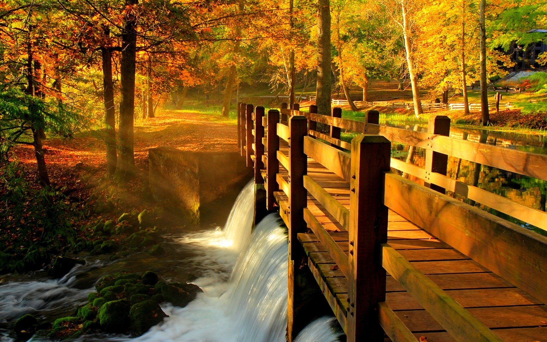 Wooden bridge over a waterfall in autumn forest HD Wallpaper