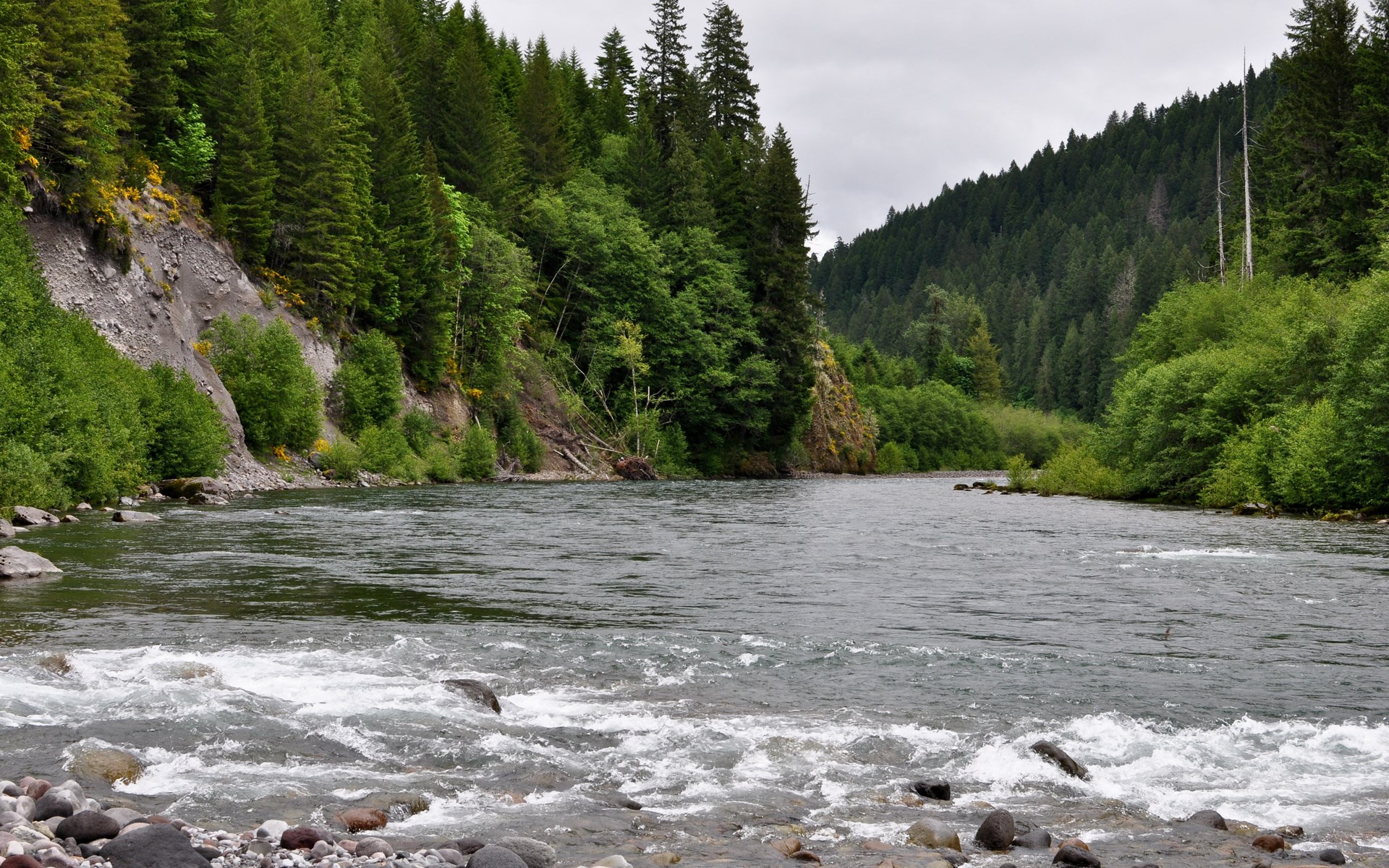 River flowing through a forest with steep, rocky banks HD Wallpaper