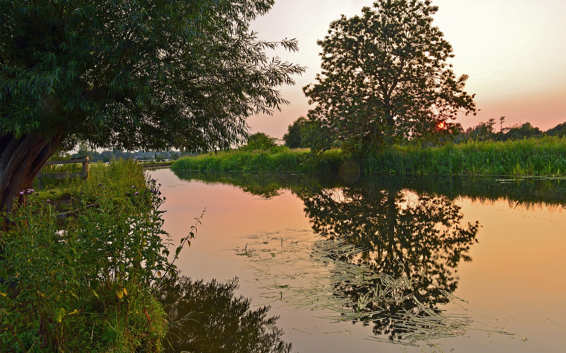 Sunset over a calm river with trees and reflections HD Wallpaper