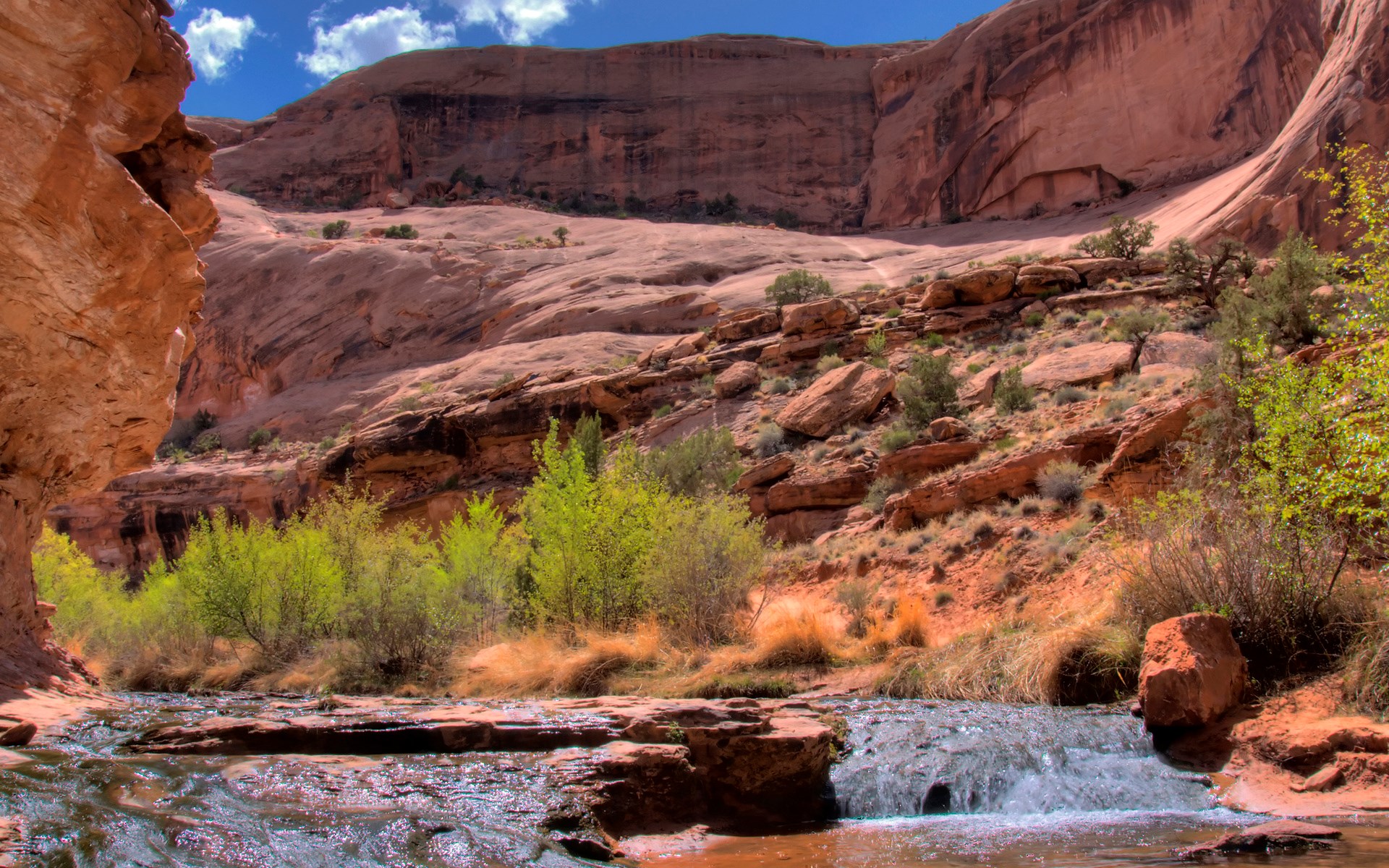 Canyon stream with red rock cliffs and green trees HD Wallpaper