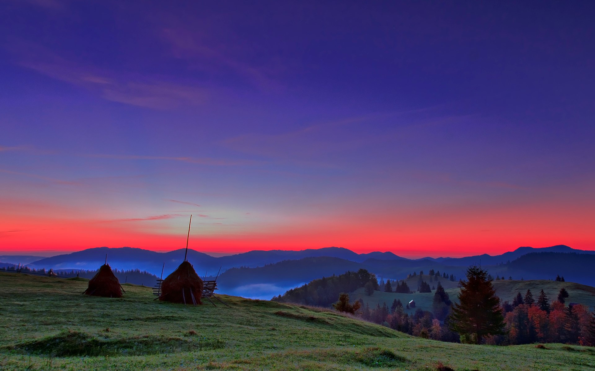 Haystacks on a grassy hill at sunrise HD Wallpaper