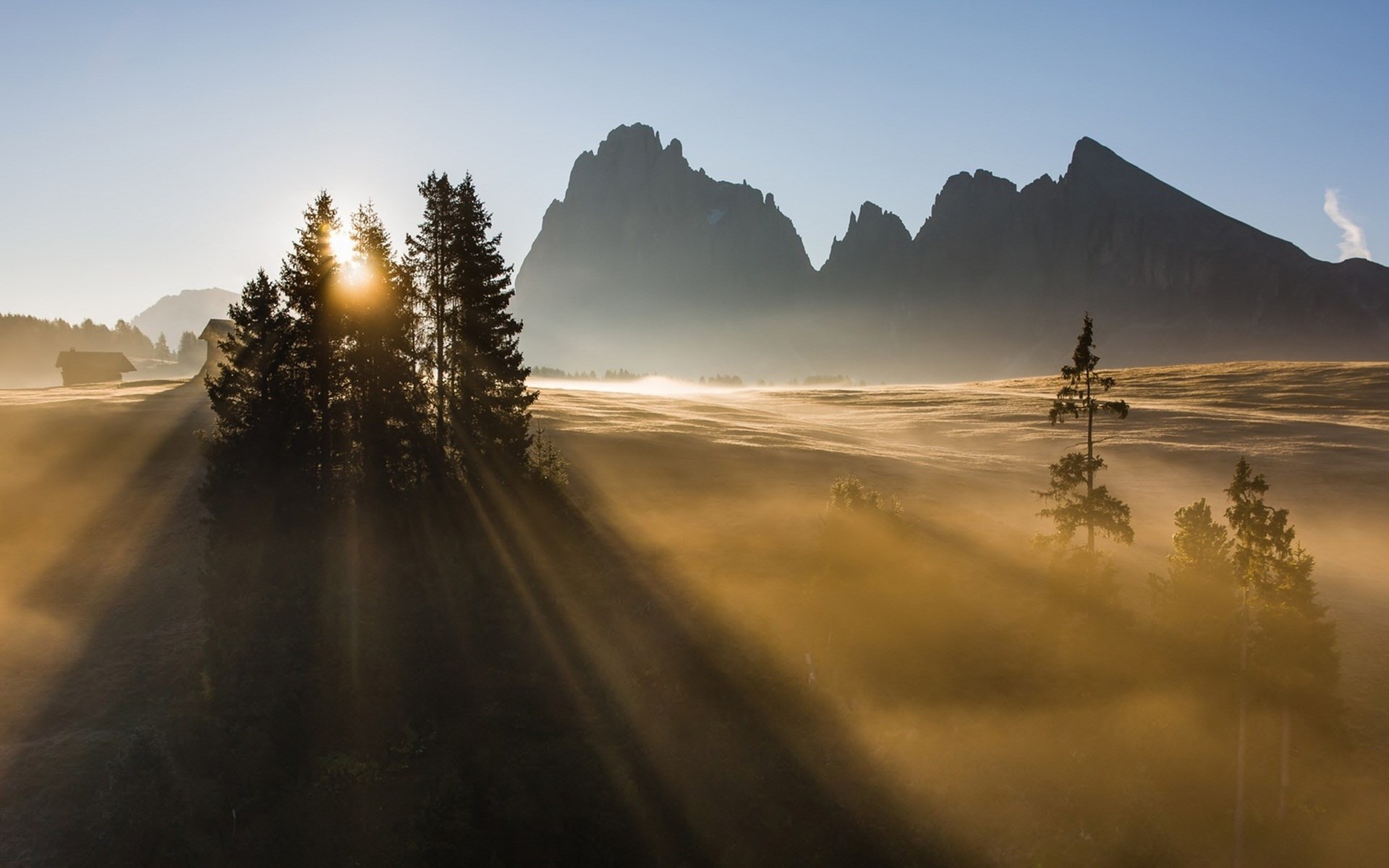 Misty mountain sunrise with sunbeams through trees HD Wallpaper