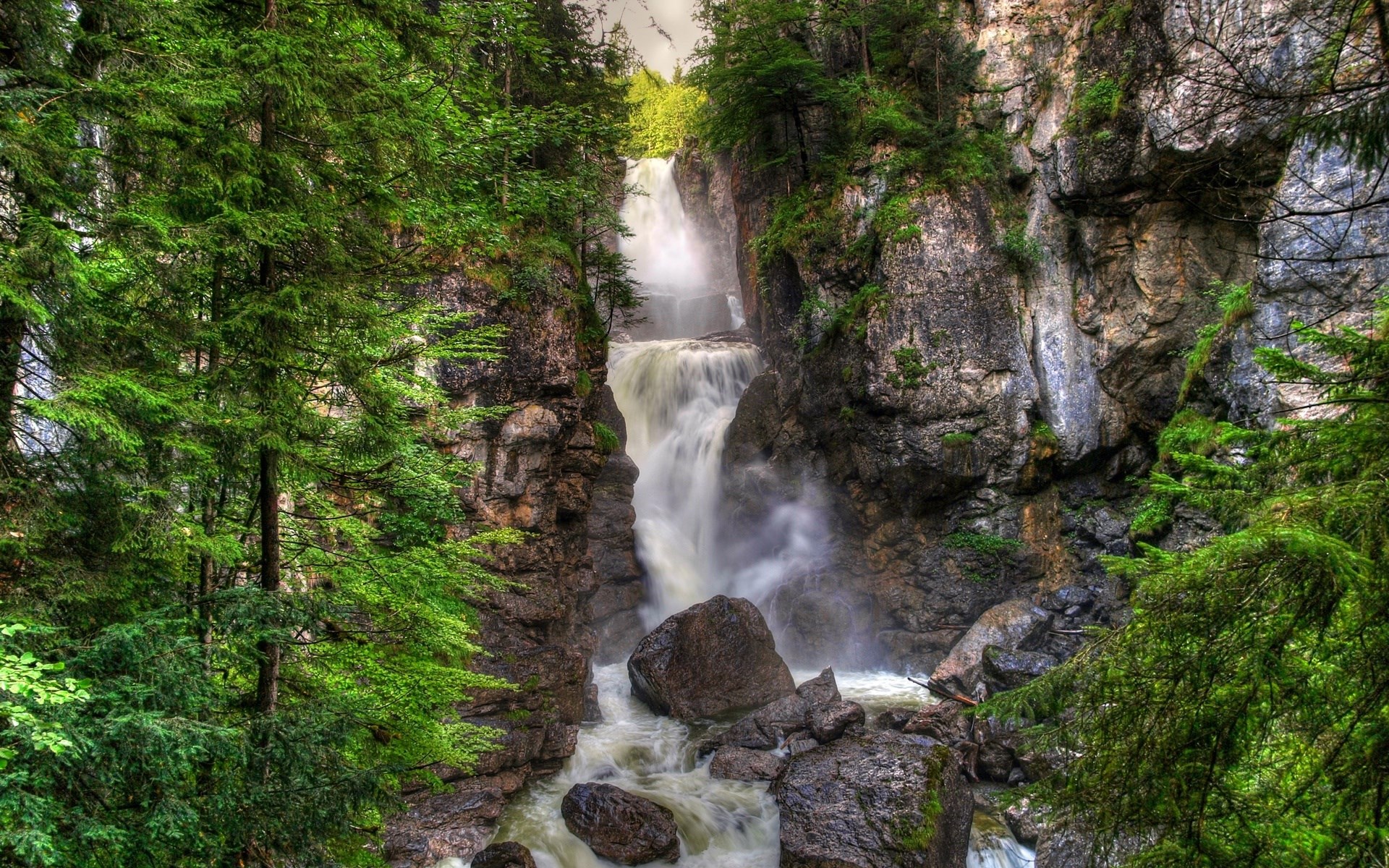 Waterfall cascading through a rocky gorge surrounded by trees HD Wallpaper