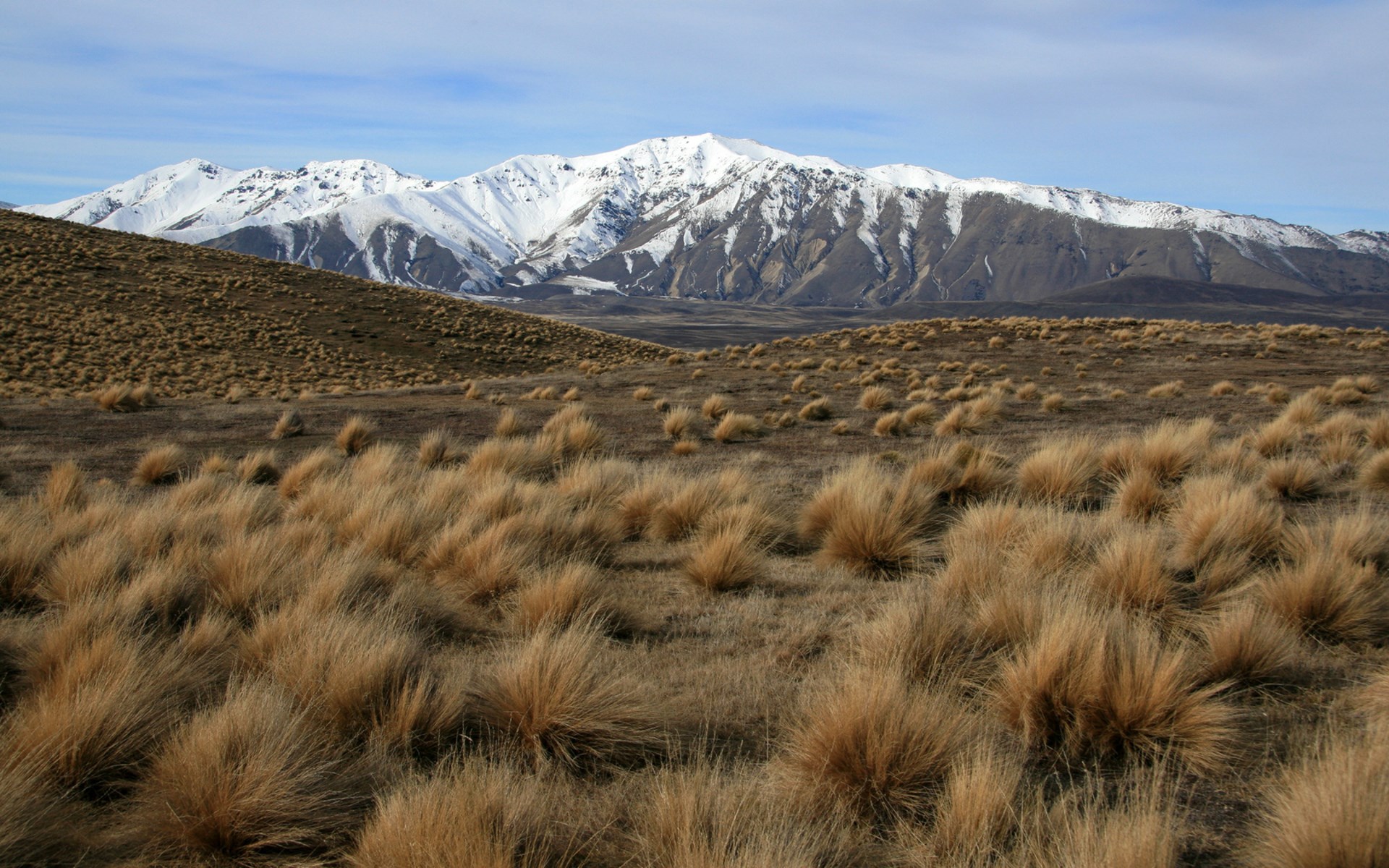 Snow-capped mountains and tussock grassland HD Wallpaper
