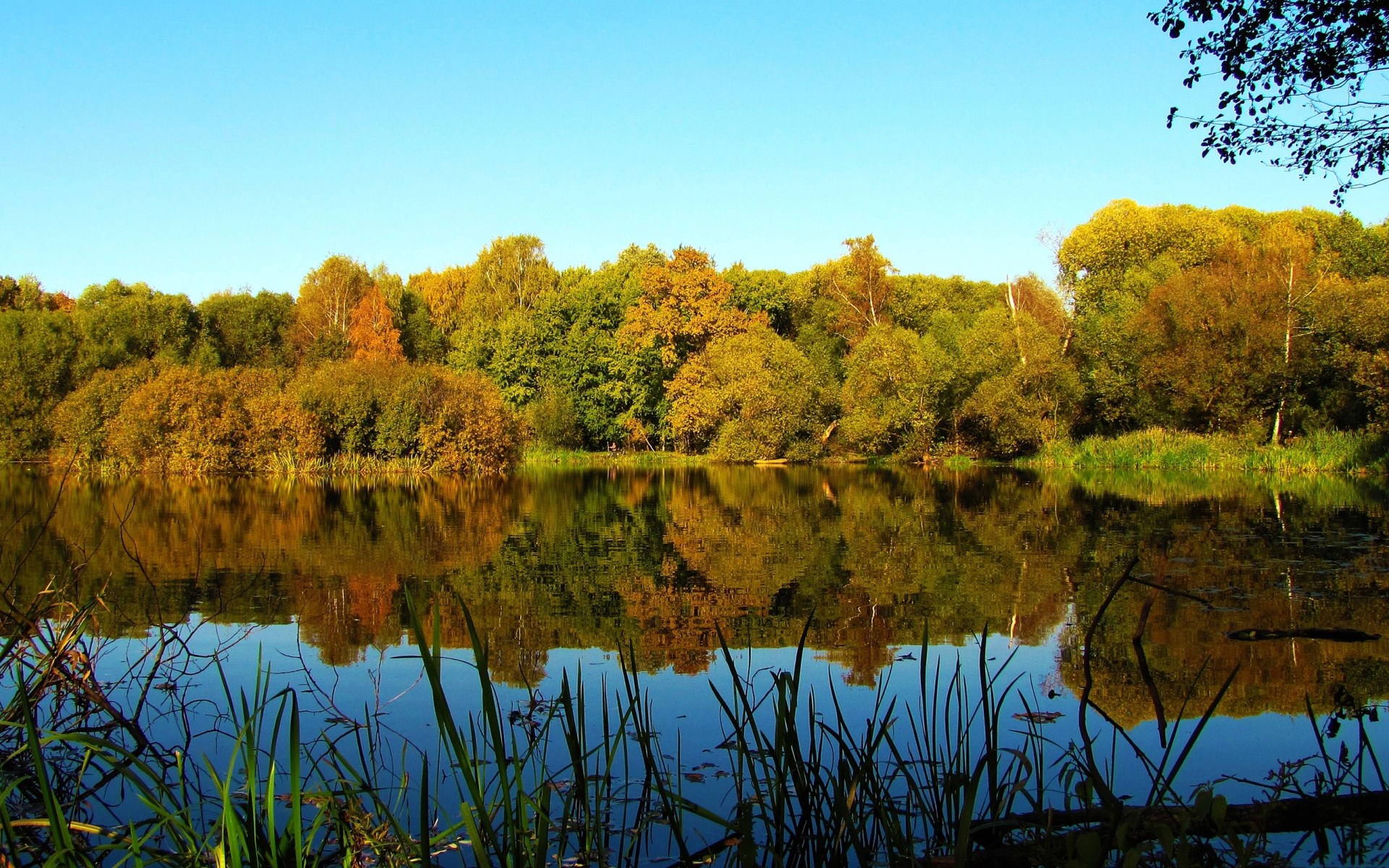 Autumn trees reflected in a calm lake under a clear blue sky HD Wallpaper