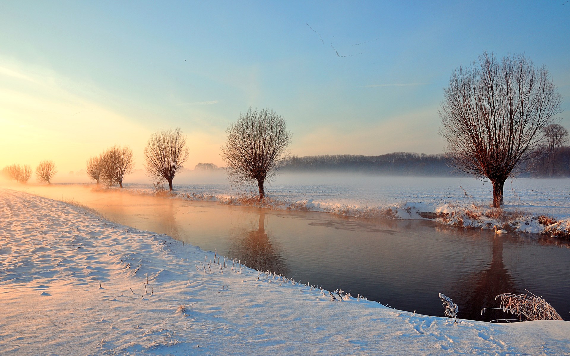 Winter landscape with trees and a river at sunrise HD Wallpaper