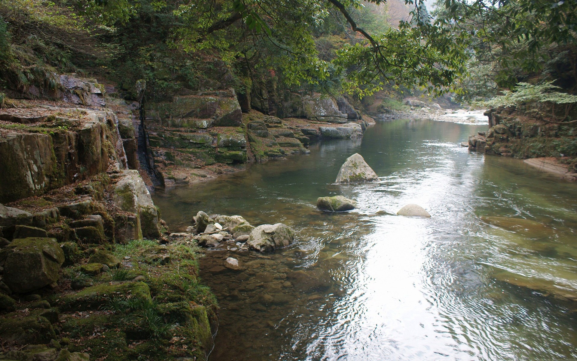 River flowing through a rocky, forested gorge HD Wallpaper
