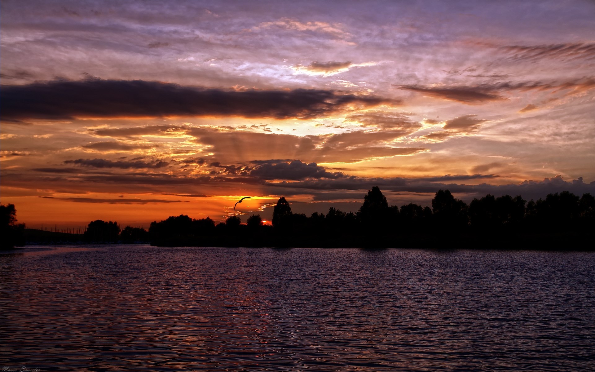 Sunset over a lake with silhouetted trees and a bird HD Wallpaper