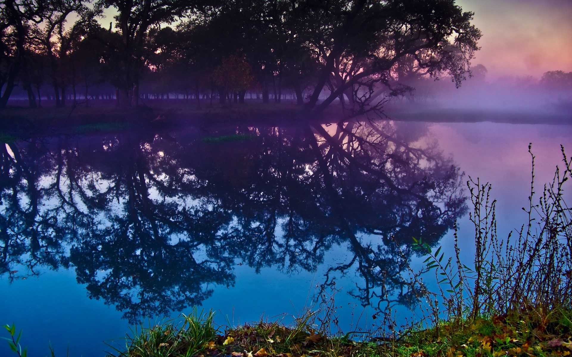 Misty lake reflecting trees at sunrise HD Wallpaper
