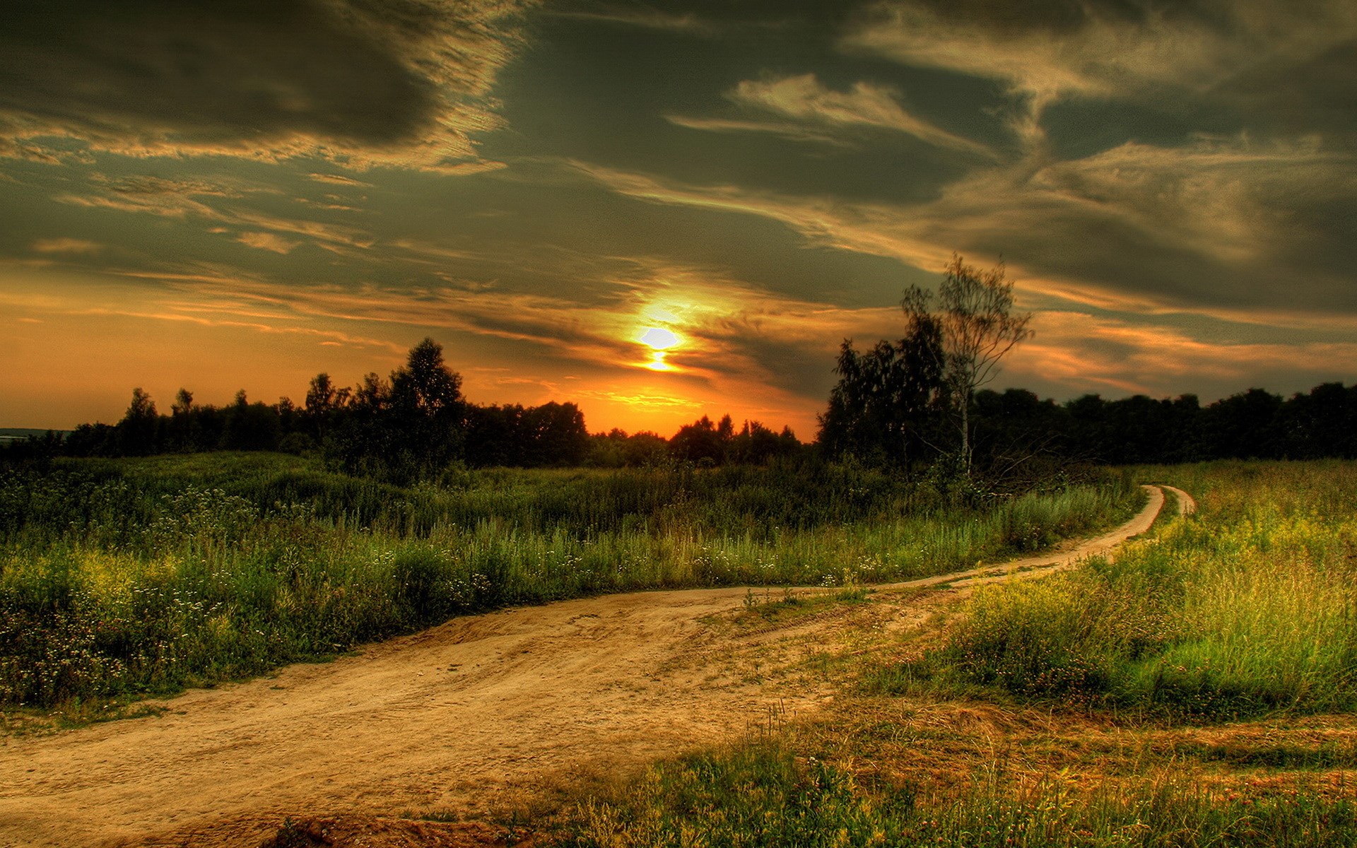Dirt road through a field at sunset HD Wallpaper