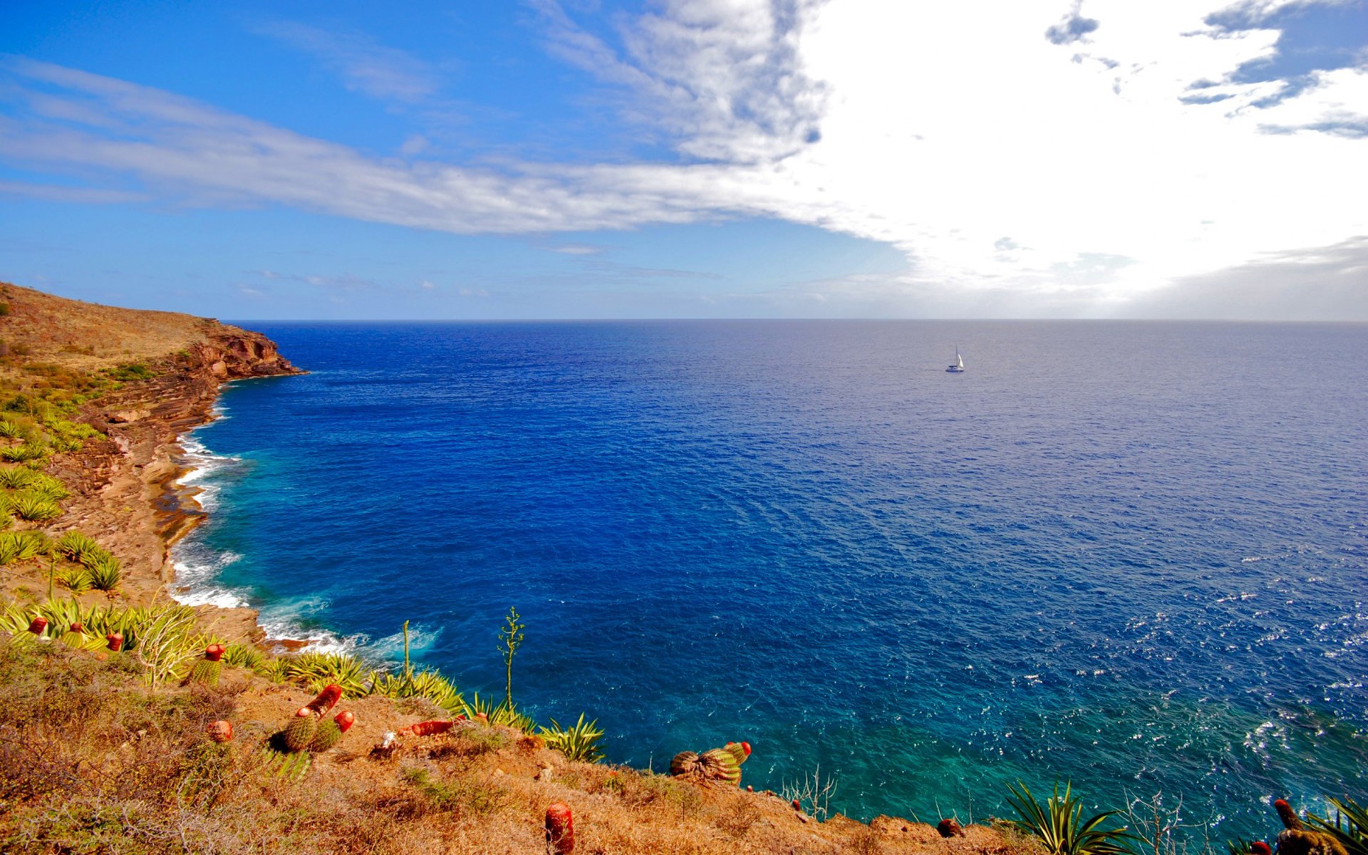 Sailboat on the ocean near a rocky coastline HD Wallpaper