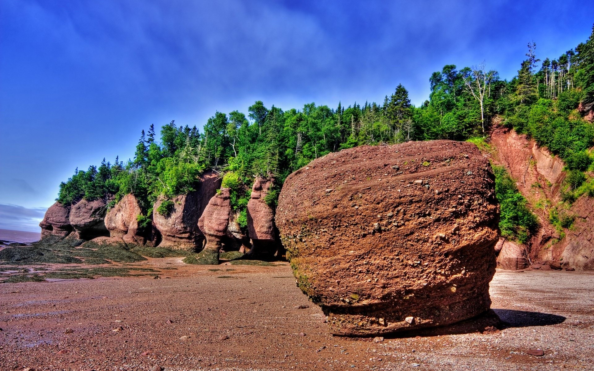 Red rock formations and trees on a beach HD Wallpaper