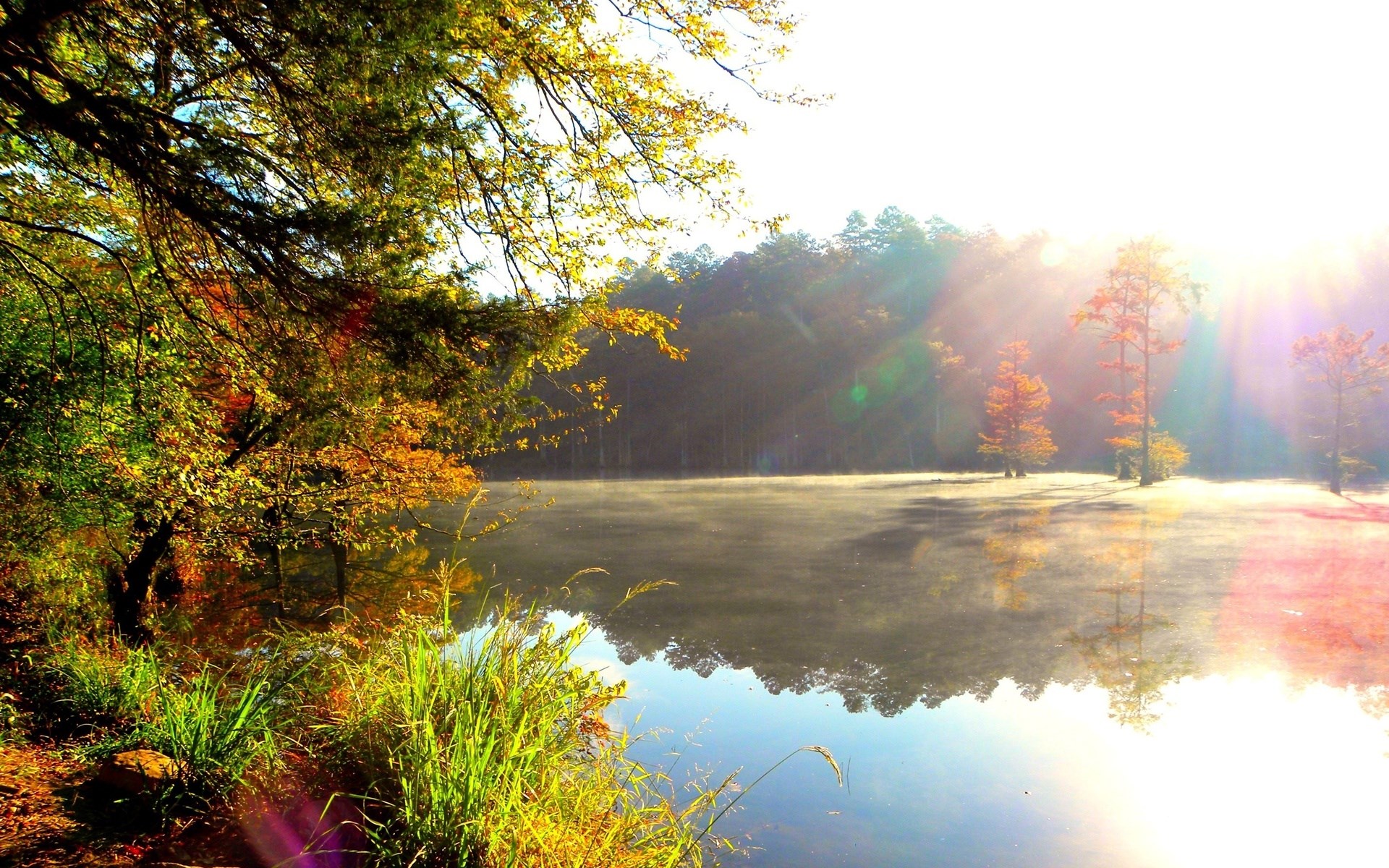 Misty lake at sunrise with autumn trees HD Wallpaper